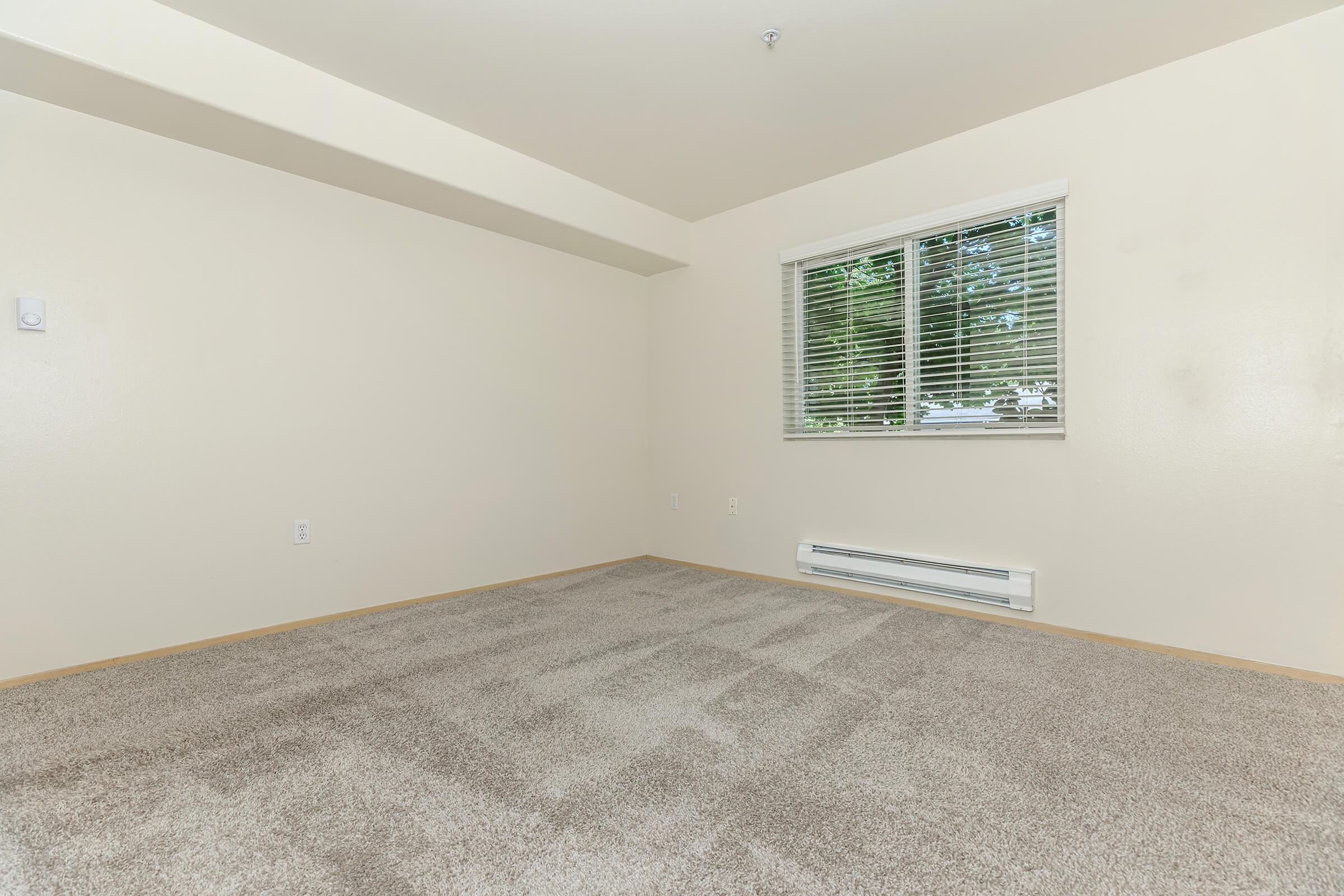 WINDOW BLINDS AND CARPETED FLOORS INCLUDED