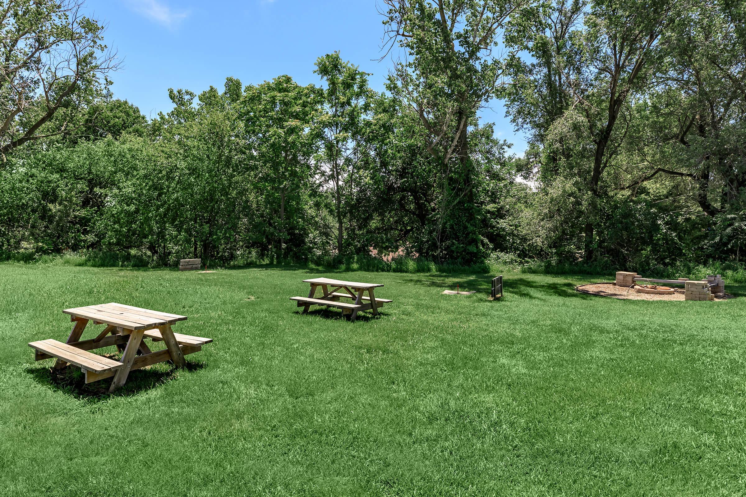 A scenic park area featuring several wooden picnic tables on lush green grass. In the background, there are tall trees providing shade. A fire pit is visible at the far end, surrounded by stones, ideal for gatherings or outdoor activities. The sky is clear and blue, enhancing the tranquil atmosphere.
