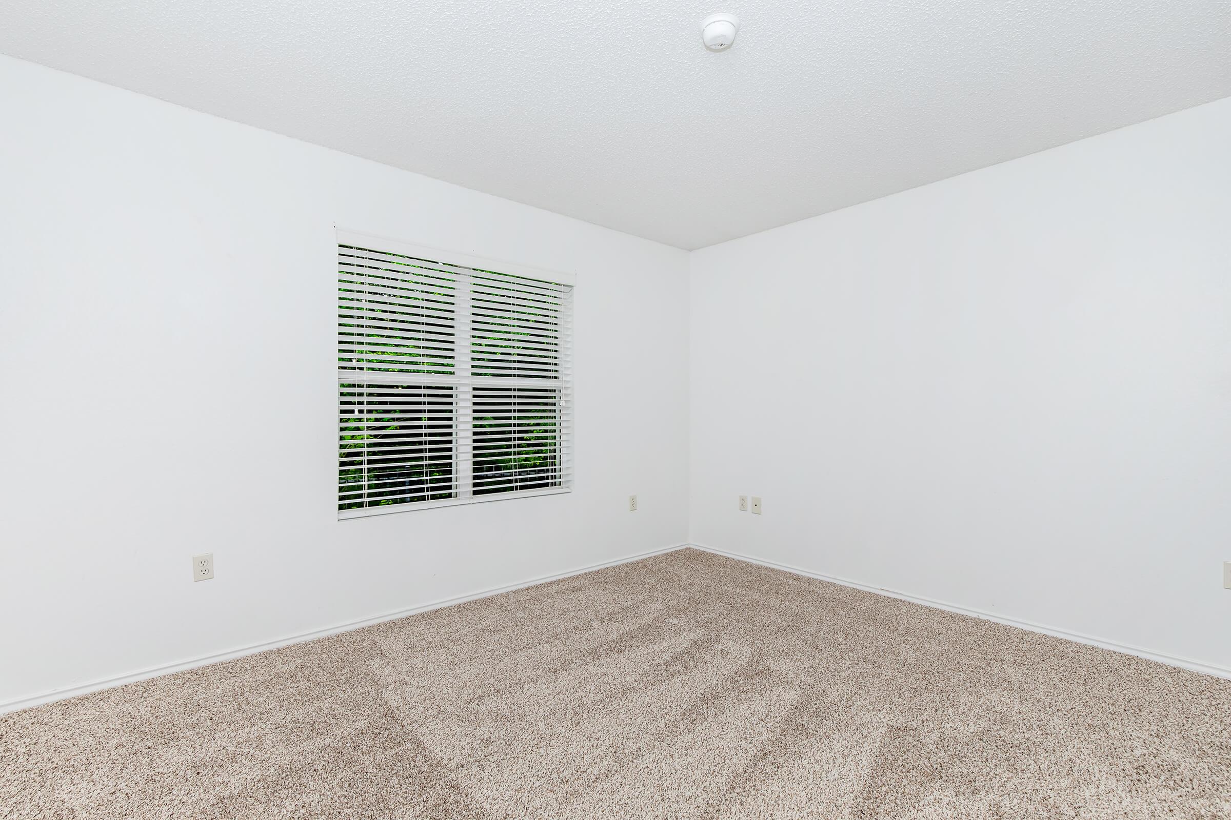 A spacious, empty room featuring beige carpet flooring and plain white walls. A window with blinds allows natural light to enter, providing a view of greenery outside. The ceiling is plain with a light fixture, creating a simple and welcoming atmosphere. Ideal for a fresh start or decoration.