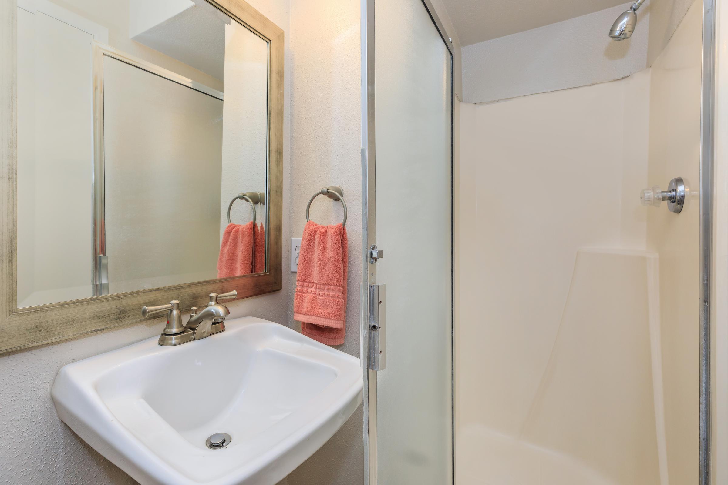 a shower that has a sink and a mirror