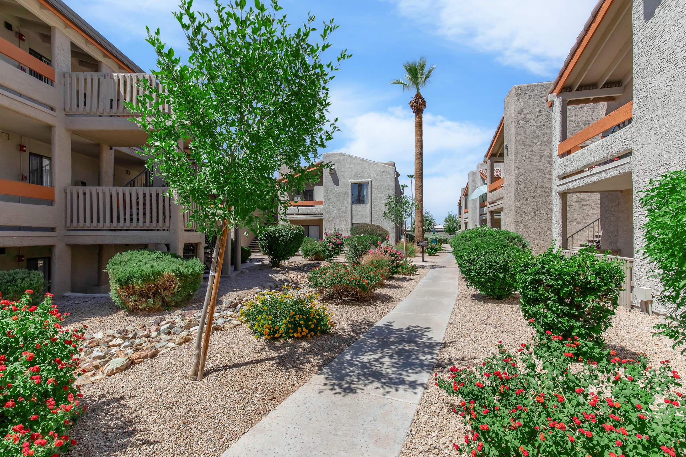 A well-maintained apartment complex featuring landscaped gardens with various shrubs and flowers. A clear pathway runs through the center, bordered by buildings on either side. Palm trees and greenery add to the inviting atmosphere under a bright blue sky.