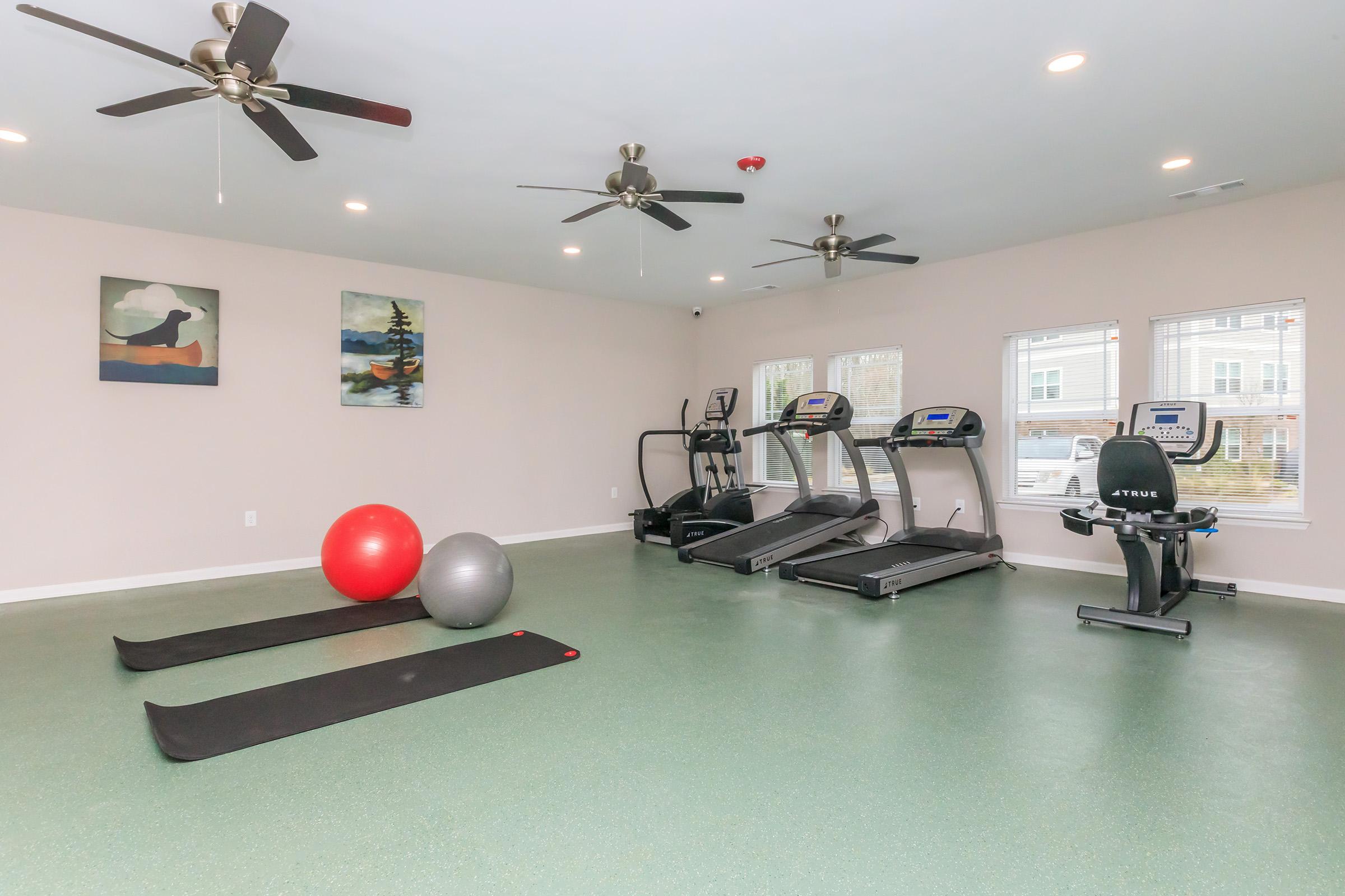 A modern fitness room featuring exercise equipment such as treadmills, a stationary bike, and exercise mats. Two exercise balls are present on the floor. The walls are adorned with framed artwork and there are windows allowing natural light to enter the space, complemented by ceiling fans for ventilation.