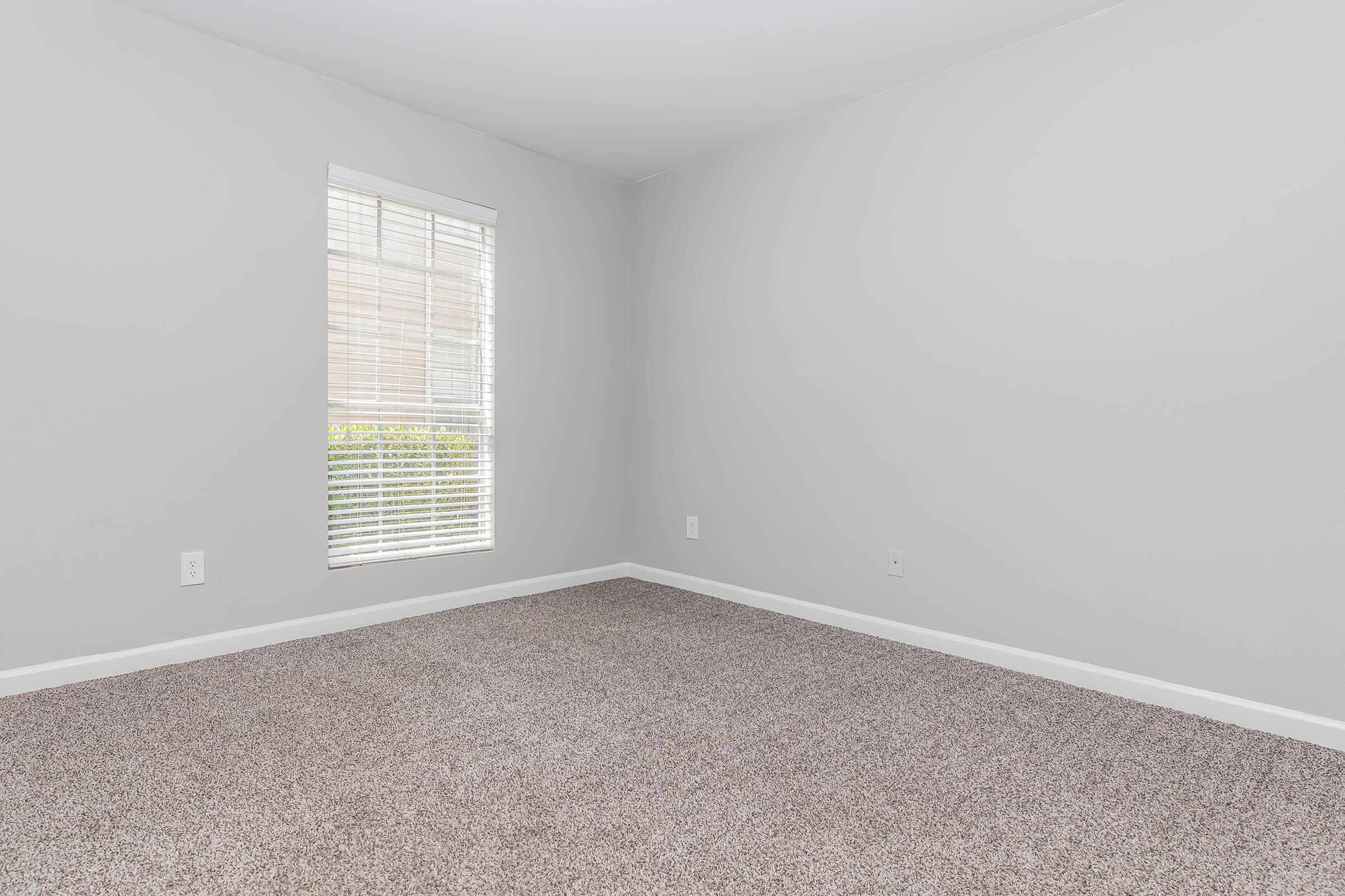 A clean, empty room with a light gray painted wall and a window featuring white blinds. The floor is covered in beige carpet, providing a cozy texture. The absence of furniture gives the space an airy, open feel, making it suitable for various purposes. Natural light filters through the window.