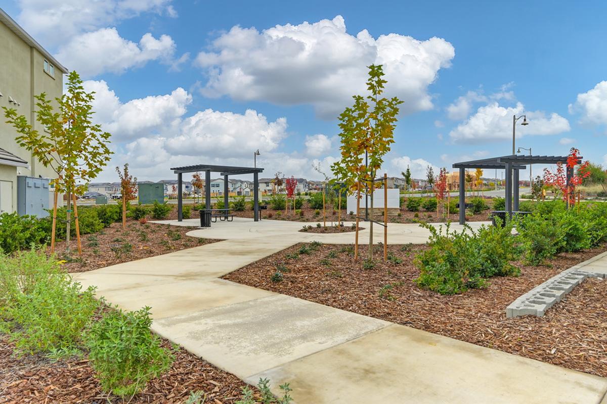 A landscaped park featuring symmetrical pathways, small trees with autumn-colored leaves, and black metal pergolas. The scene is set against a blue sky with fluffy white clouds, showcasing well-maintained greenery and mulch-covered ground. Ideal for leisure and outdoor activities.