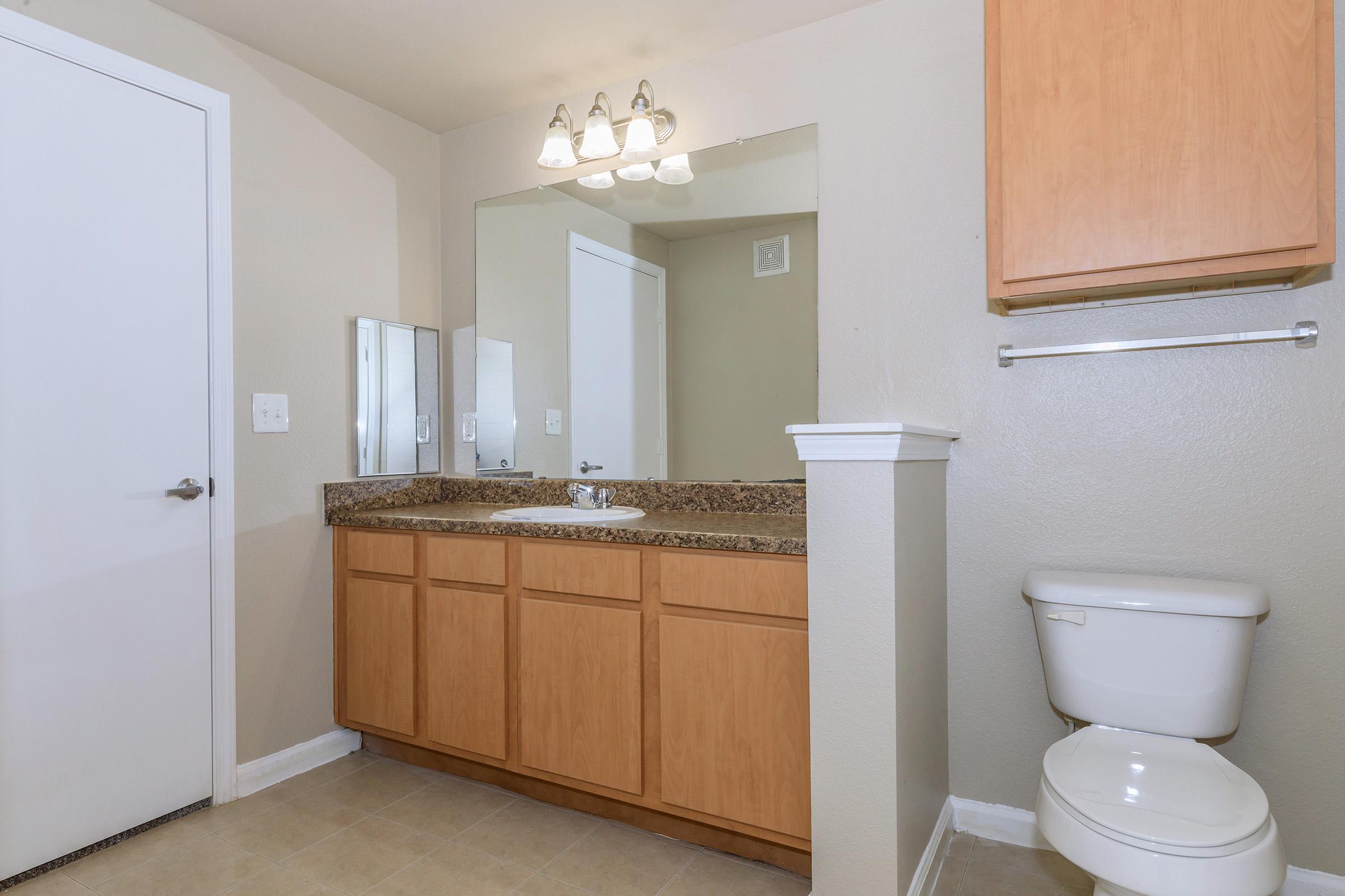 A clean and modern bathroom featuring a large mirror above a granite countertop with wooden cabinets. There is a white toilet to the right, and the walls are painted in a neutral color. The space has a bright and airy feel, with good lighting from fixtures above the mirror.