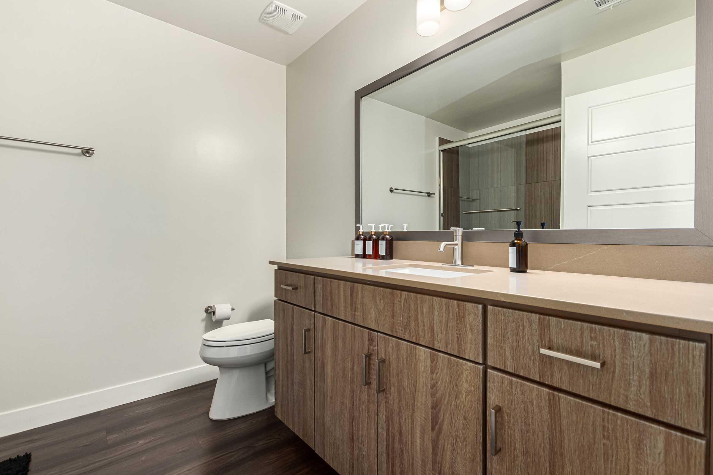 Modern bathroom featuring a stylish wooden vanity with a sink, five bottles on the countertop, and a large mirror above. A white toilet is positioned to the side, and there's a dark rug on the floor. The walls are painted light neutral colors, creating a clean and spacious atmosphere.