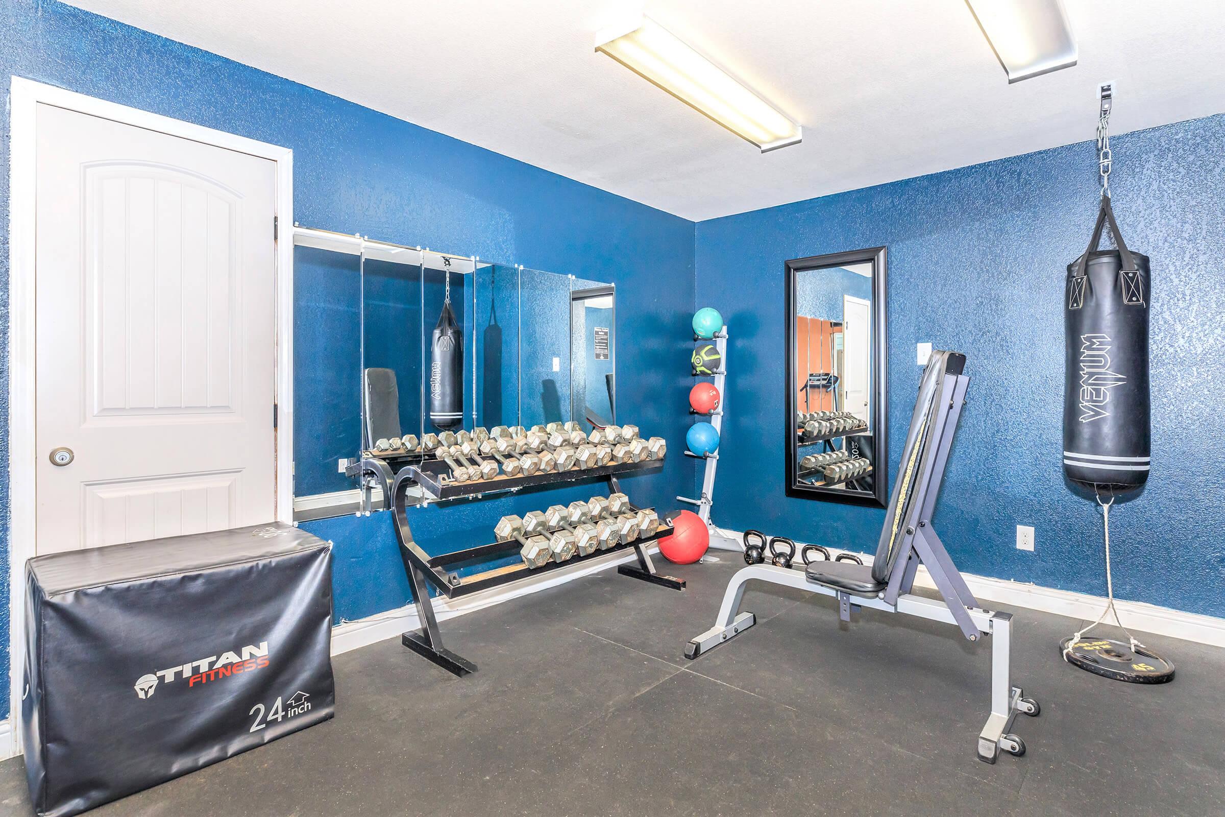 A well-equipped home gym featuring a dumbbell rack with various weights, a bench press, a boxing bag, and a mirrored wall. The walls are painted blue, and the flooring is dark. There are colorful exercise balls on a rack, creating an inviting workout space.