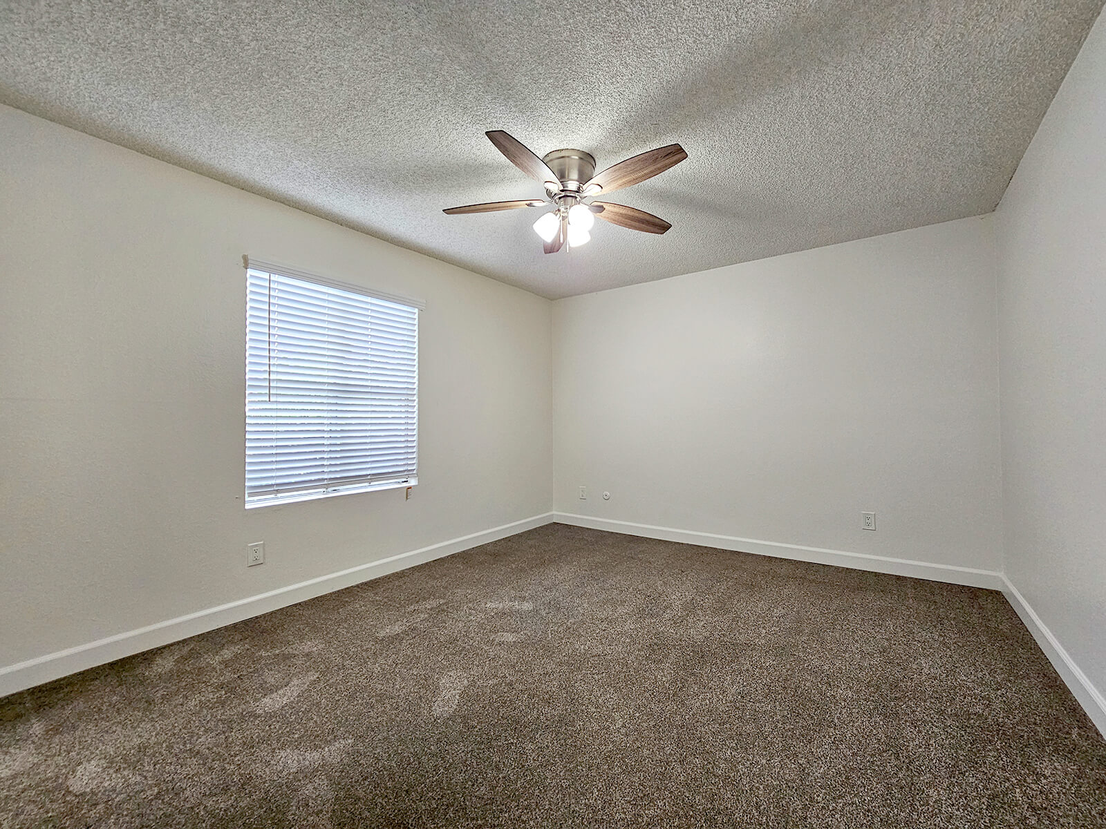 A spacious, empty room featuring a ceiling fan with light, beige carpet flooring, and a window with white blinds. The walls are painted in a light color, creating a bright and airy atmosphere. The room has a modern, clean aesthetic with no furniture present.