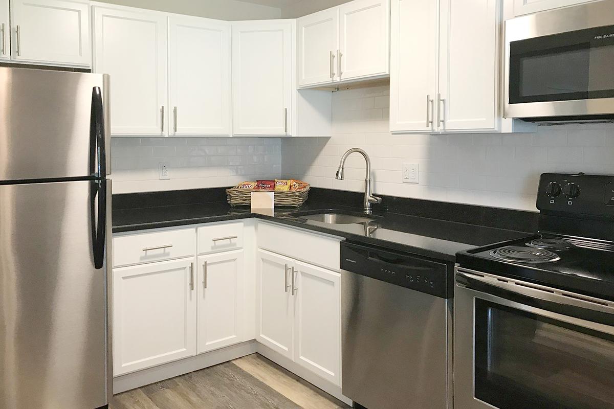 Model Kitchen 1.jpg