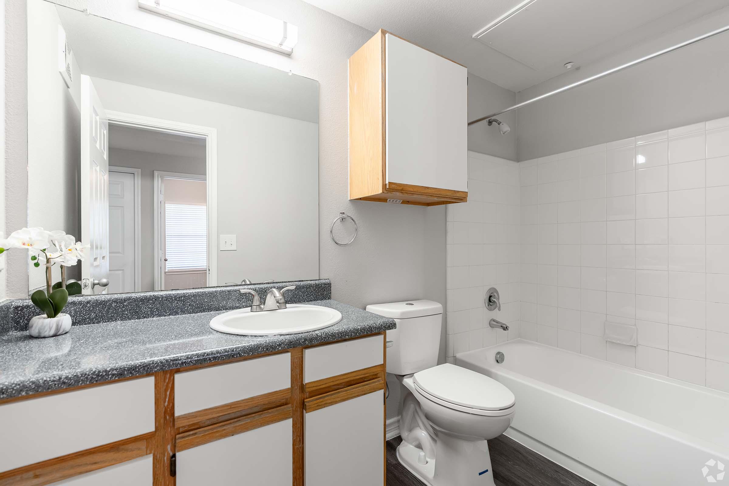 A clean, modern bathroom featuring a bathtub with a shower, a white toilet, and a vanity with a sink. The countertop is dark gray with a single faucet, and there's a mirror above the vanity. A small plant is on the counter, and the walls are light gray. A doorway leading to another room is visible in the background.