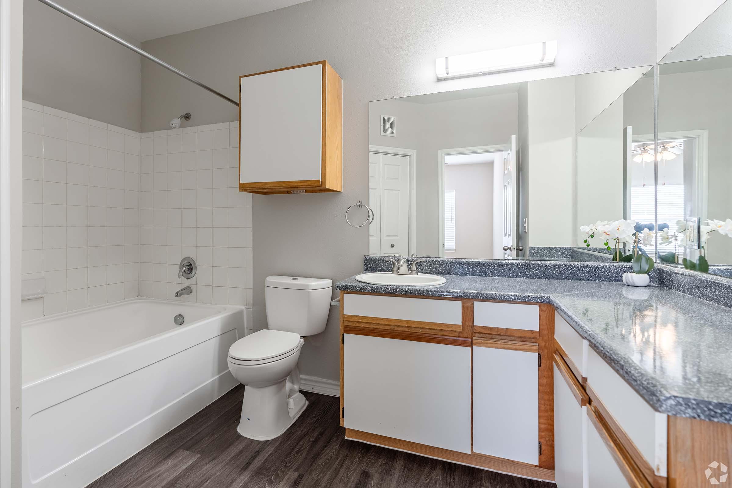 A clean and modern bathroom featuring a bathtub with a shower, a toilet, and a vanity with a sink. The walls are painted in a light color, and the flooring is dark, providing a nice contrast. A large mirror is mounted above the sink, and there are decorative white orchids on the countertop.