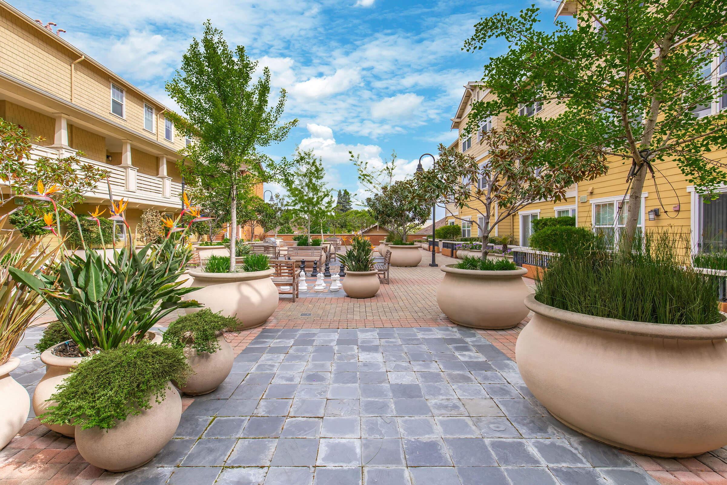 A landscaped courtyard featuring large planters with tropical plants, seating areas with wooden chairs, and a paved pathway. Buildings in the background surround the space, creating a peaceful outdoor setting under a bright blue sky.