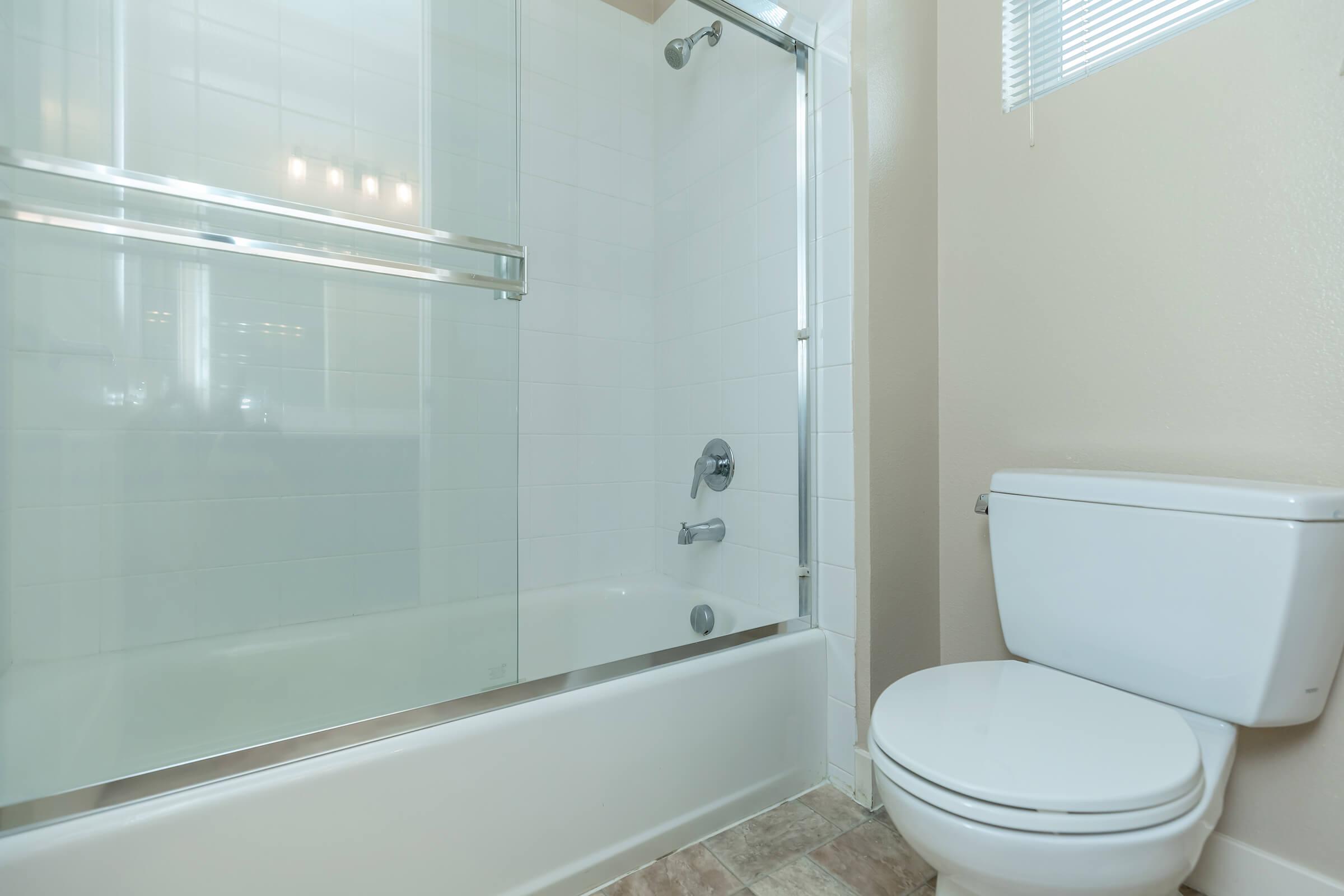 TUB AND SHOWER COMBO