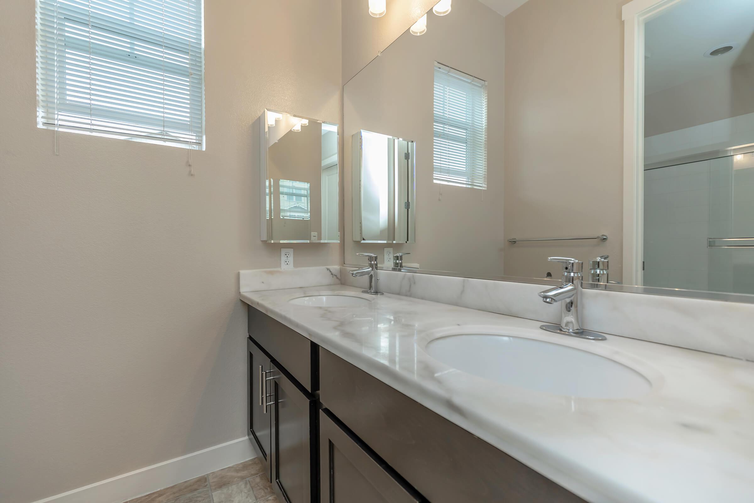 a double sink and large mirror