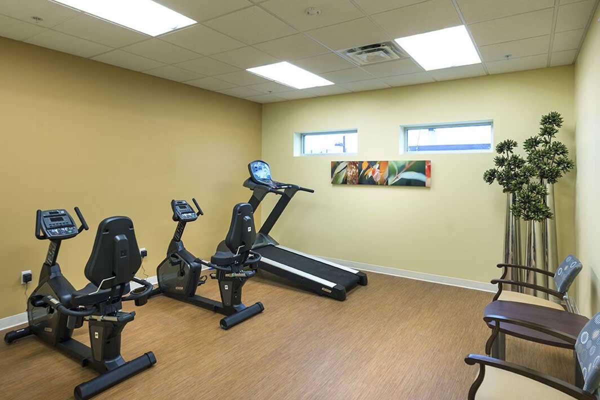 A small fitness room featuring two exercise bikes and a treadmill. There are two chairs along one wall, and a decorative plant in a corner. The walls are painted a warm yellow, and there is a piece of artwork on the wall, along with two small windows allowing natural light.