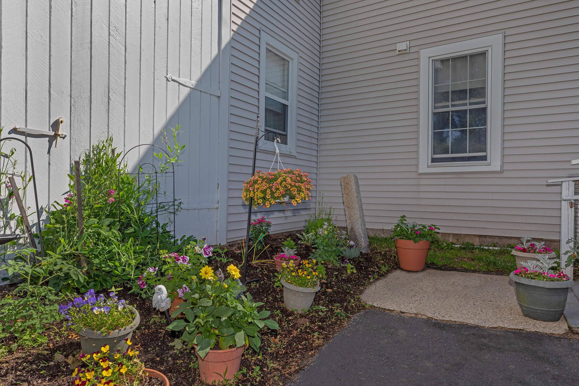a close up of a flower garden in front of a house