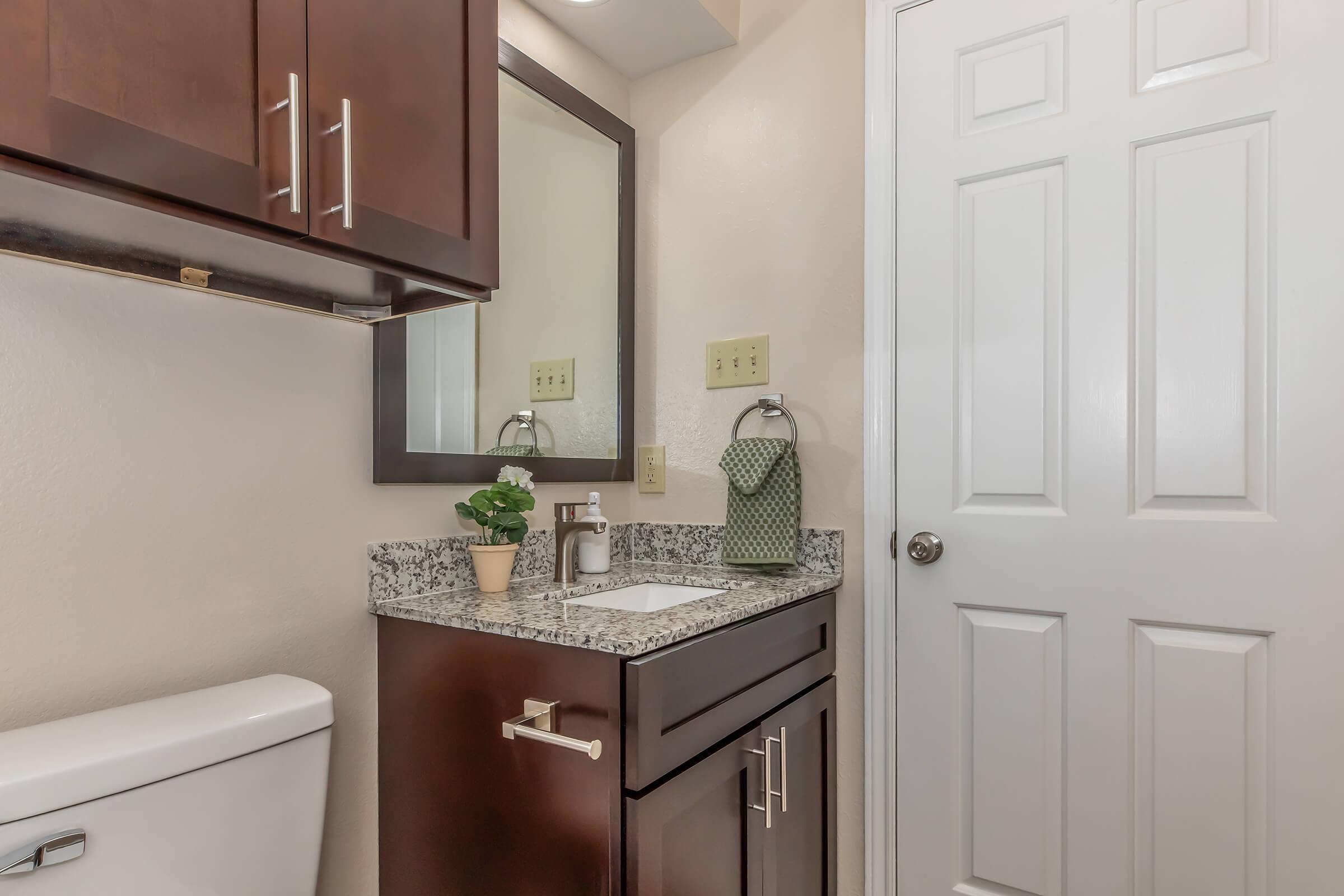 A small bathroom featuring a dark wood vanity with a granite countertop, a mirror above the sink, and a potted plant. A white toilet is visible, and the wall has a door with a simple design. A towel holder with a green towel adds a pop of color. The overall decor is clean and modern.