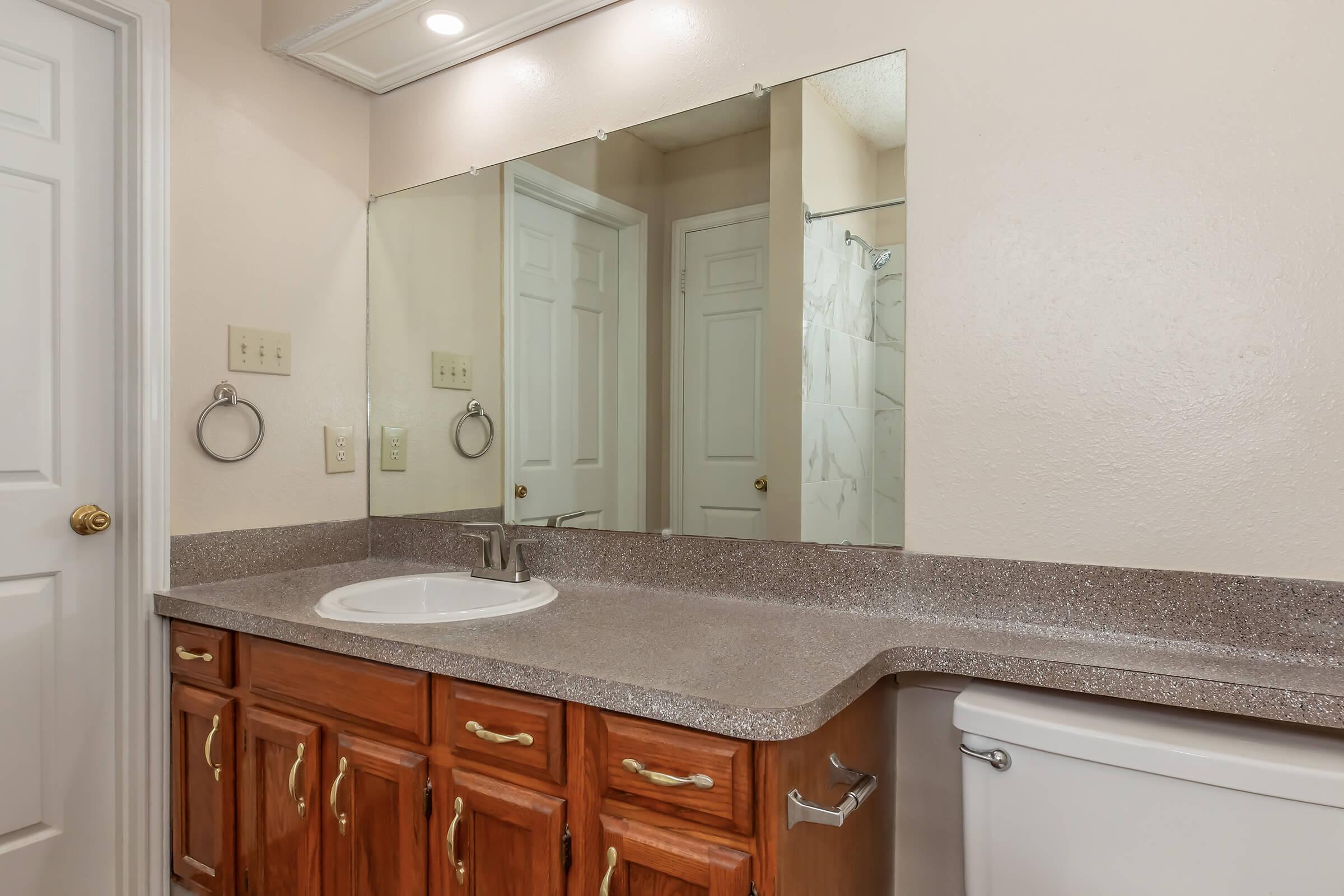 A well-lit bathroom featuring a double vanity with a composite stone countertop, a round sink, and wooden cabinetry. There are large mirrors above the sink, and a clean, white toilet is visible. The walls are painted in a light color, and a shower can be seen through an open door in the background.