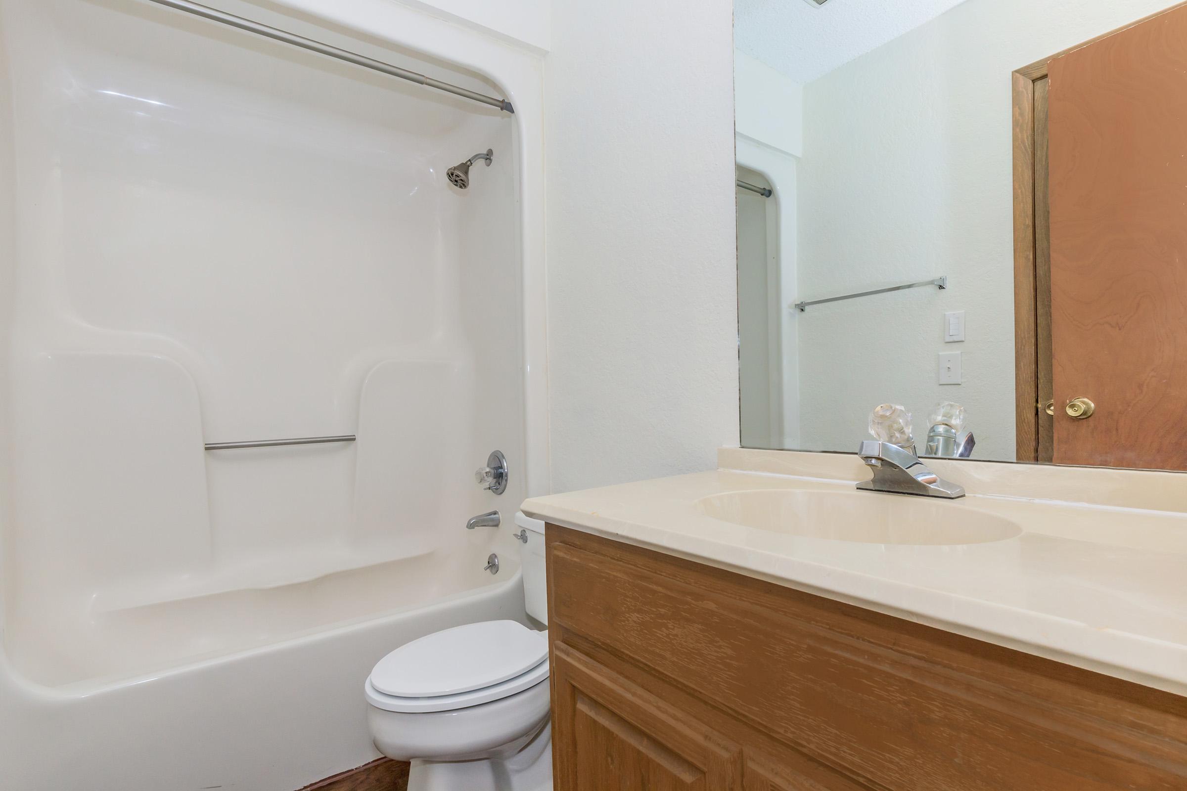 a shower that has a sink and a mirror