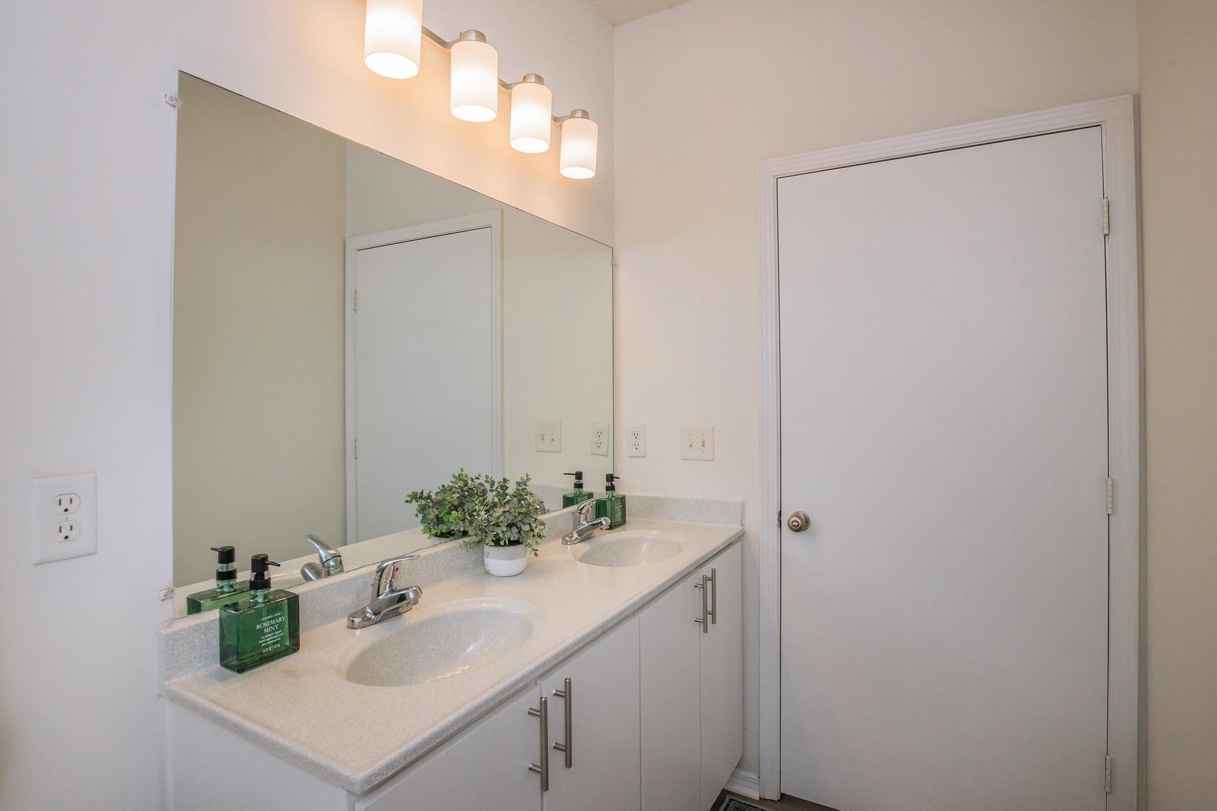 A well-lit bathroom featuring a double vanity with two sinks, a large mirror above, and modern lighting fixtures. The countertop is decorated with a small potted plant. The walls are painted in a light color, and a white door leads to another room. The overall aesthetic is clean and contemporary.