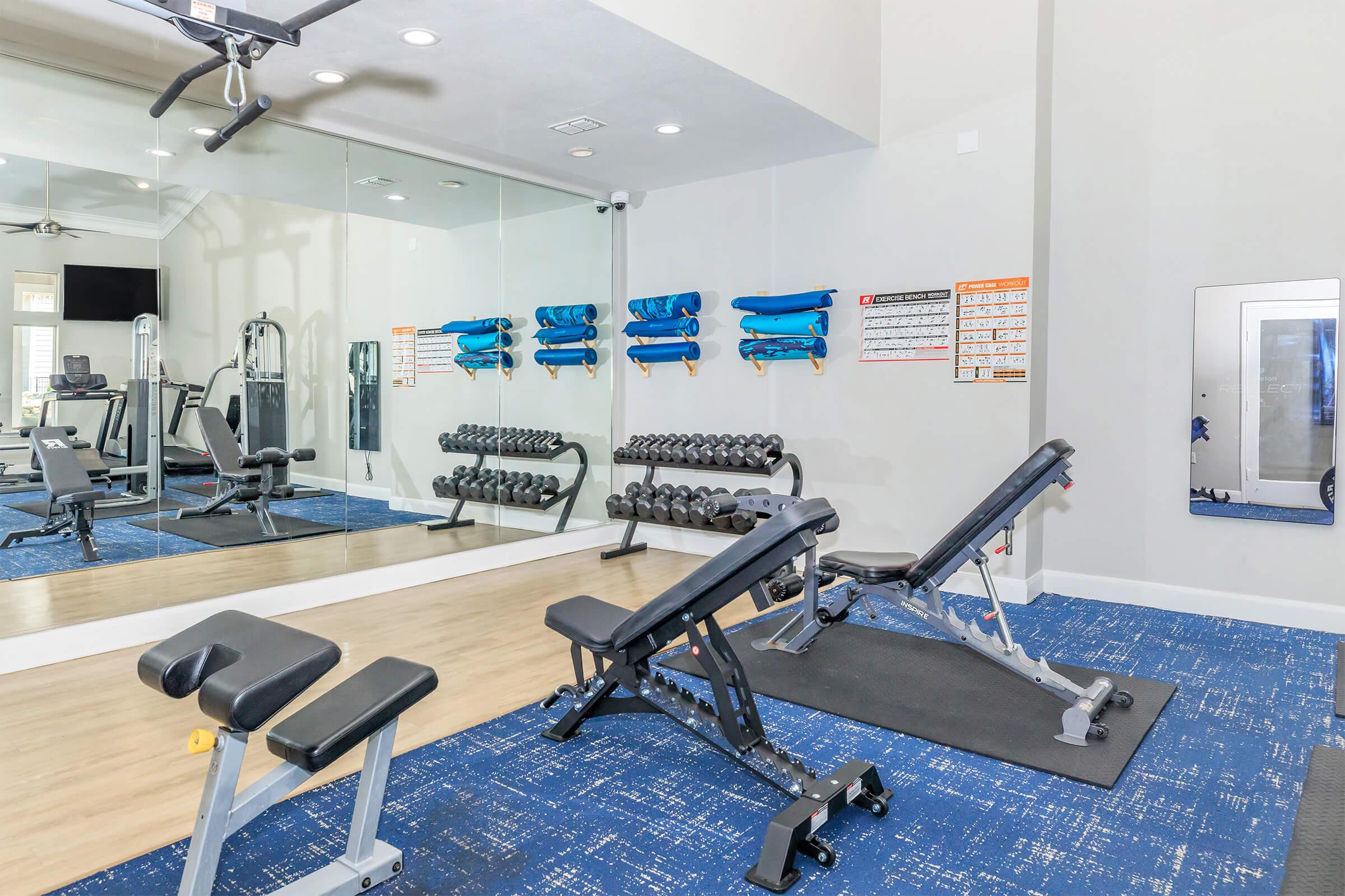 A modern gym interior featuring weight benches, free weights, and exercise equipment. The room is well-lit with mirrors on one wall and colorful gym accessories mounted on another. Blue carpeting and a neutral color scheme create a clean, inviting atmosphere for workouts.