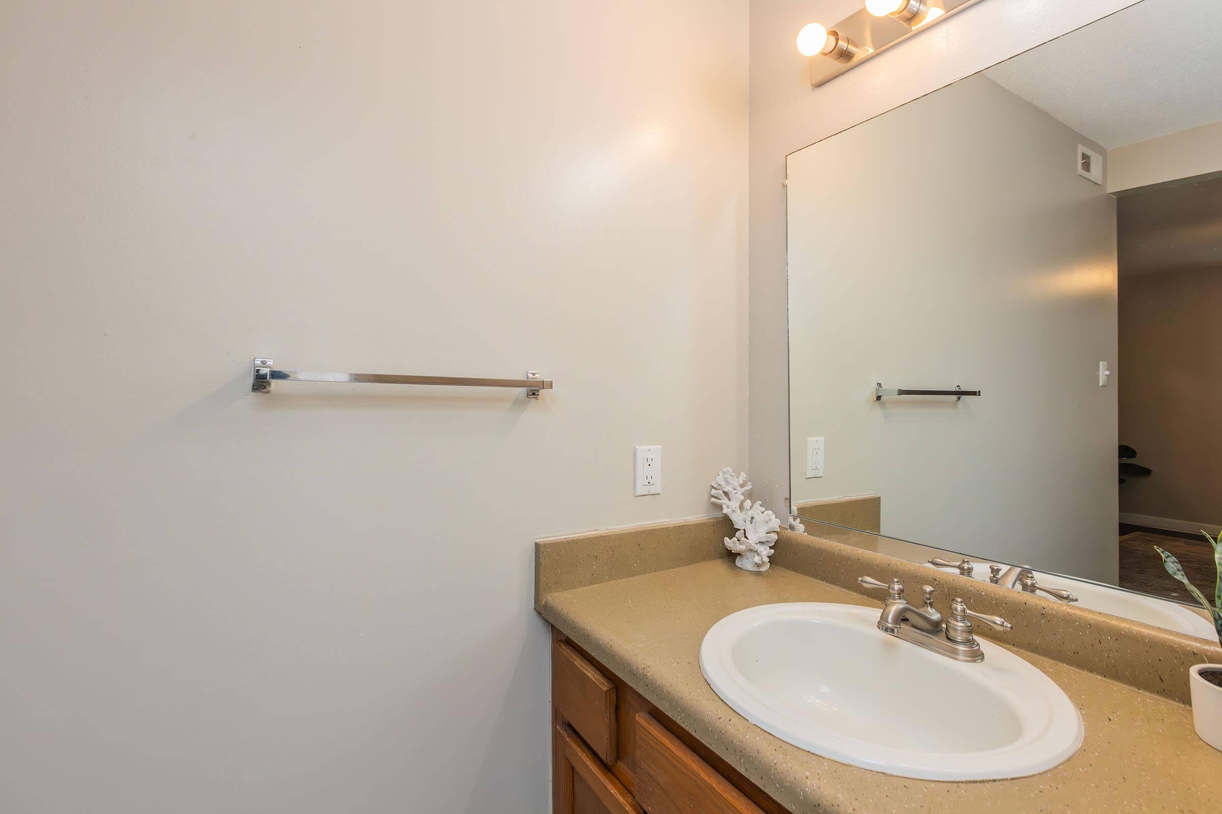 a double sink and large mirror