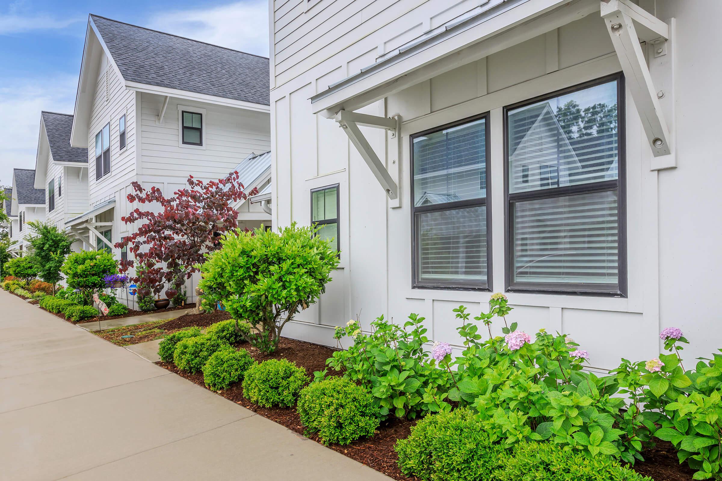 a garden in front of a house