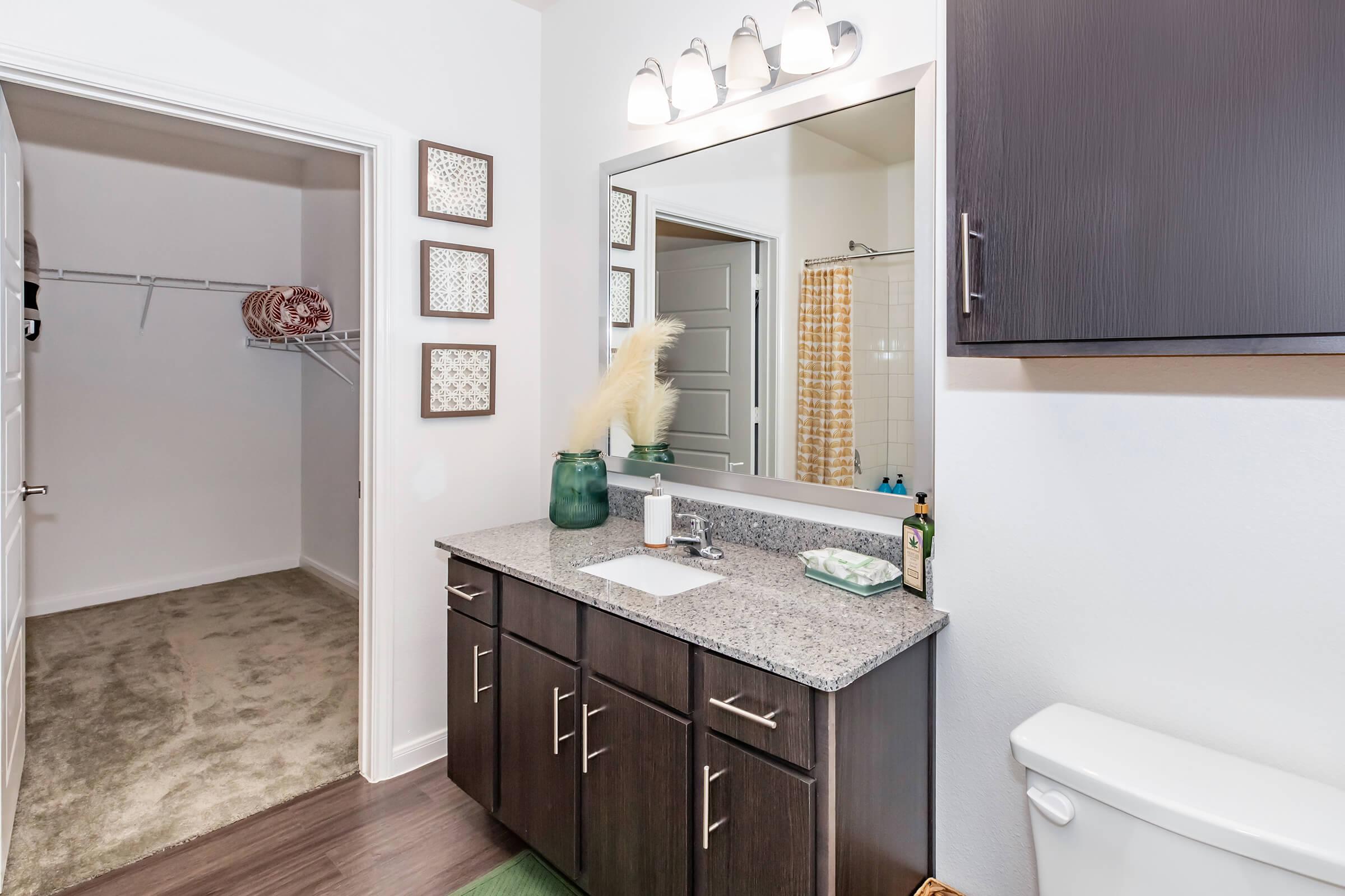 Modern bathroom featuring a granite countertop with a sink, a large mirror above, and dark wood cabinets. A decorative green vase and toiletries are on the counter. To the left, there’s a walk-in closet with shelving. The shower area is partially visible with a patterned curtain. Bright lighting enhances the space.