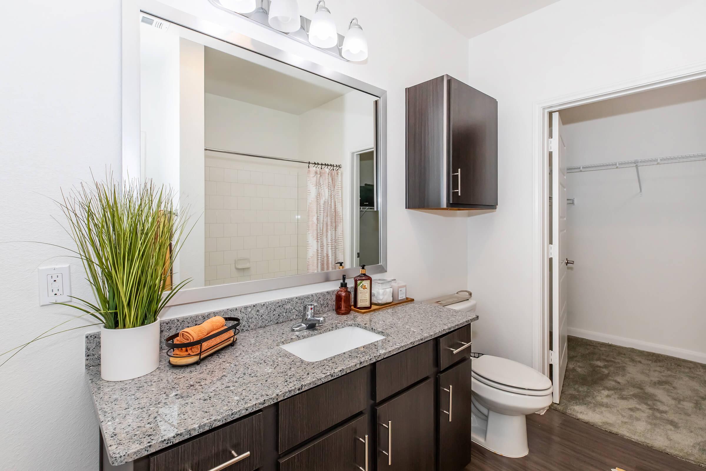 Modern bathroom featuring a granite countertop with a sink, a large mirror, and a decorative potted plant. The vanity has dark wood cabinets and is adorned with toiletries. Visible is a shower area with a curtain and a toilet in a well-lit, neutral-colored space.
