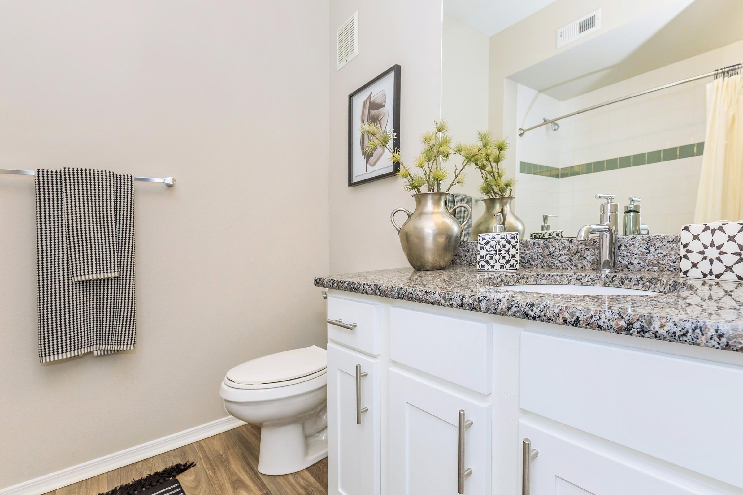 A modern bathroom featuring a white vanity with a granite countertop, a mirror above, and decorative items like a vase with greenery and patterned containers. A towel hangs on a rack, and a toilet is visible. The walls are painted in a neutral color, enhancing the bright and clean aesthetic.