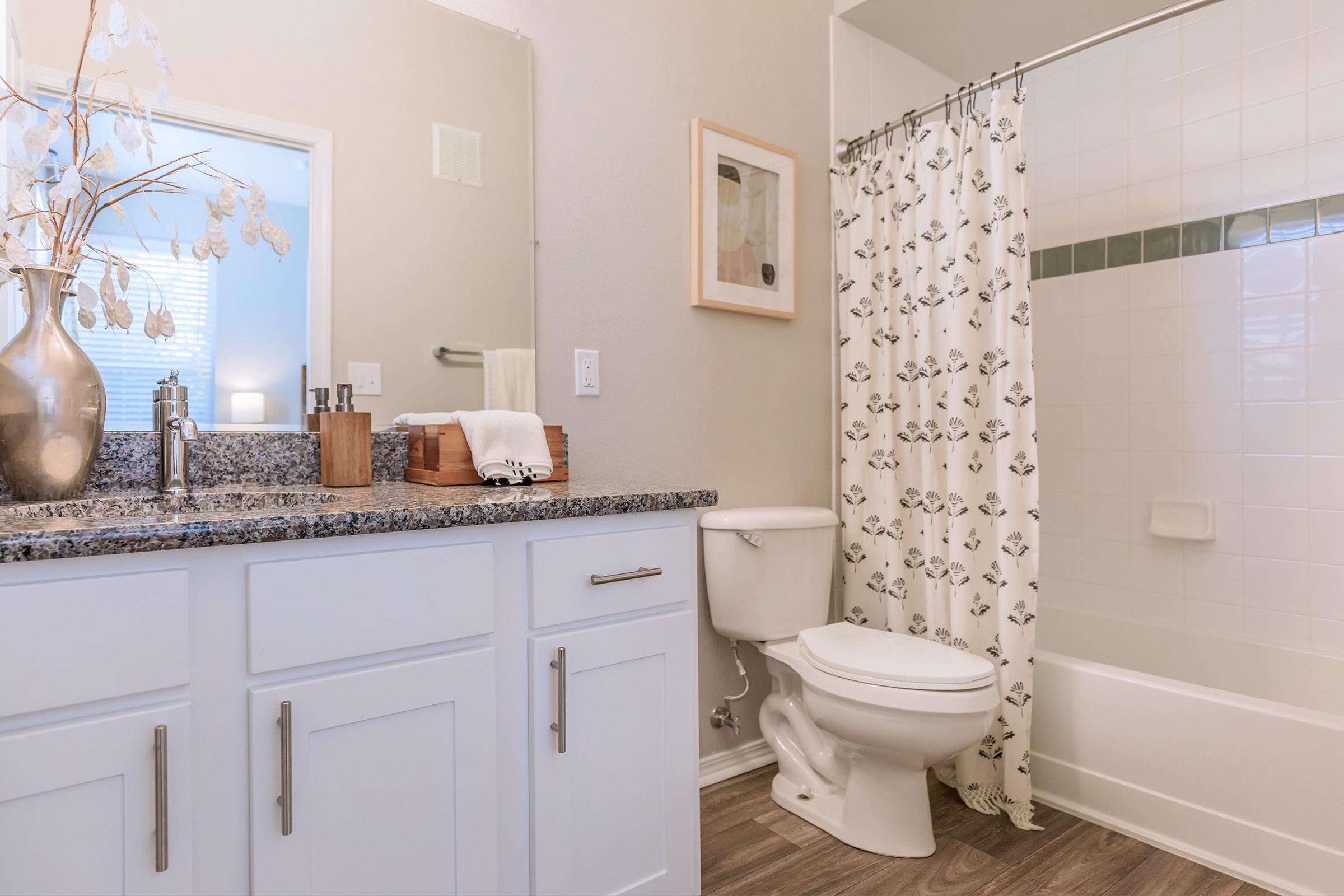 A modern bathroom featuring a granite countertop with various toiletries, a white vanity with storage, a clean toilet, and a bathtub with a shower curtain. Natural light filters through a window, enhancing the light-colored walls and warm wooden flooring. Decorative items add a touch of elegance.