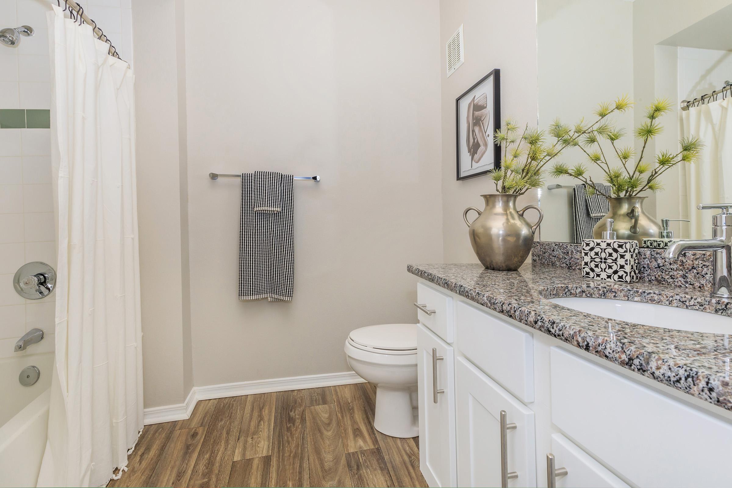 A modern bathroom featuring a bathtub with a shower curtain, a white toilet, and a granite countertop with a decorative vase and a framed artwork. There's a towel hanging on a rack and a neutral color scheme with wood flooring, creating a clean and inviting atmosphere.