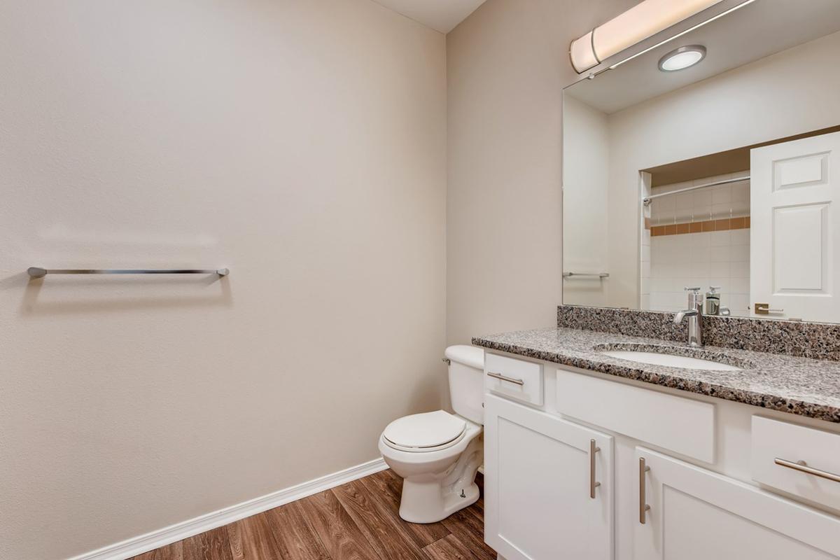 a white sink sitting under a mirror