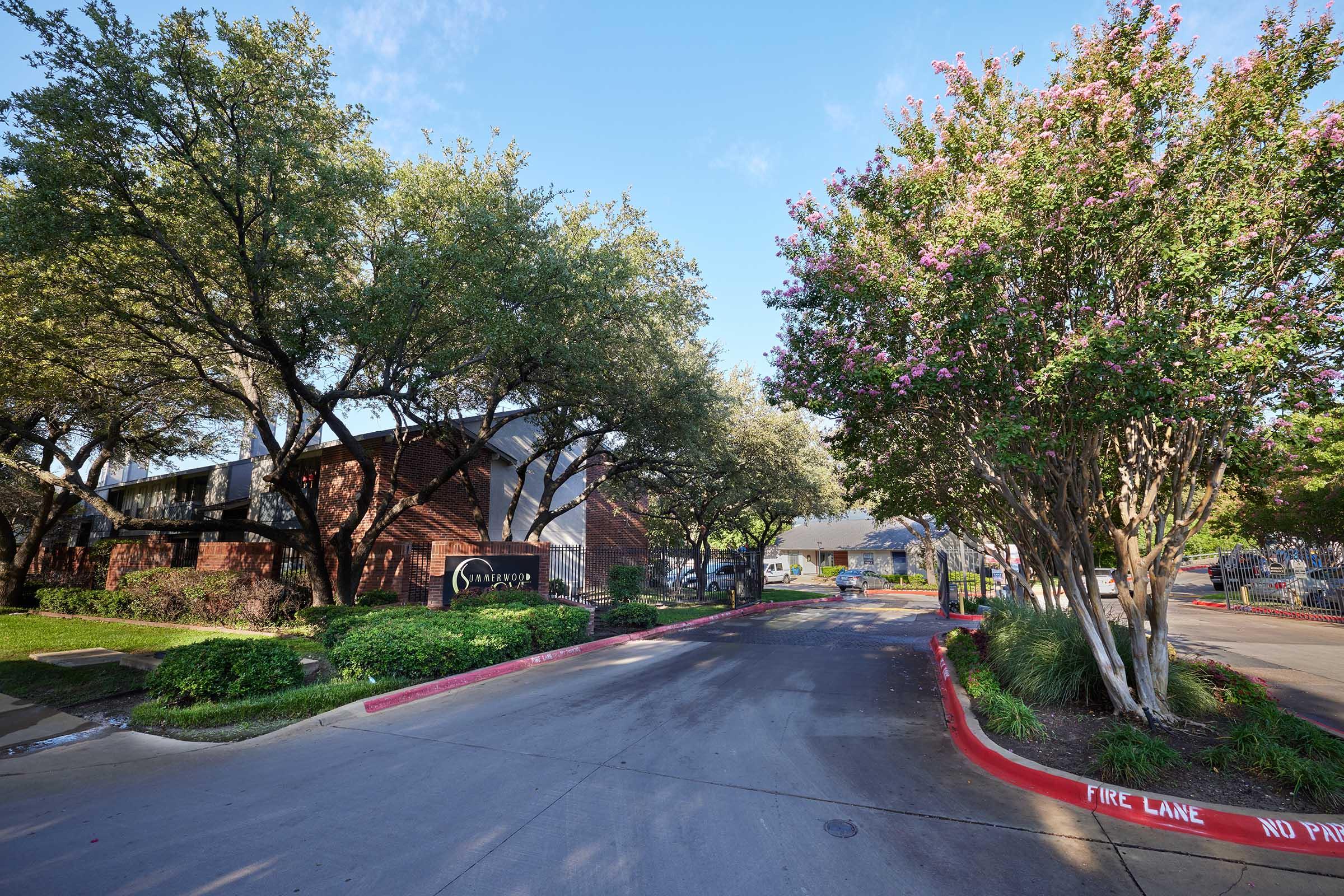 A tree-lined driveway leading to a residential complex, featuring well-maintained landscaping with flowering trees and shrubs. The buildings are brick with a modern appearance. The scene is bright and sunny, capturing a peaceful suburban atmosphere.