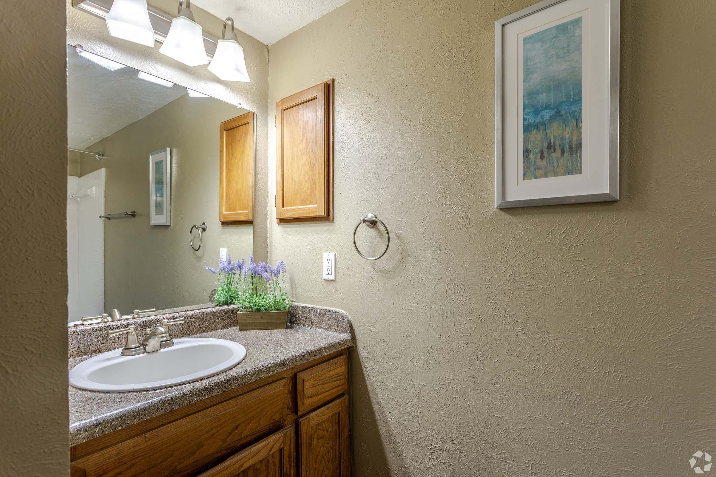 A clean, modern bathroom featuring a granite countertop with a round sink. Above the sink are two wooden cabinets and a mirror. There is a framed artwork on the wall and a small potted plant with purple flowers on the counter. The walls are painted in a soft beige color, and overhead light fixtures illuminate the space.
