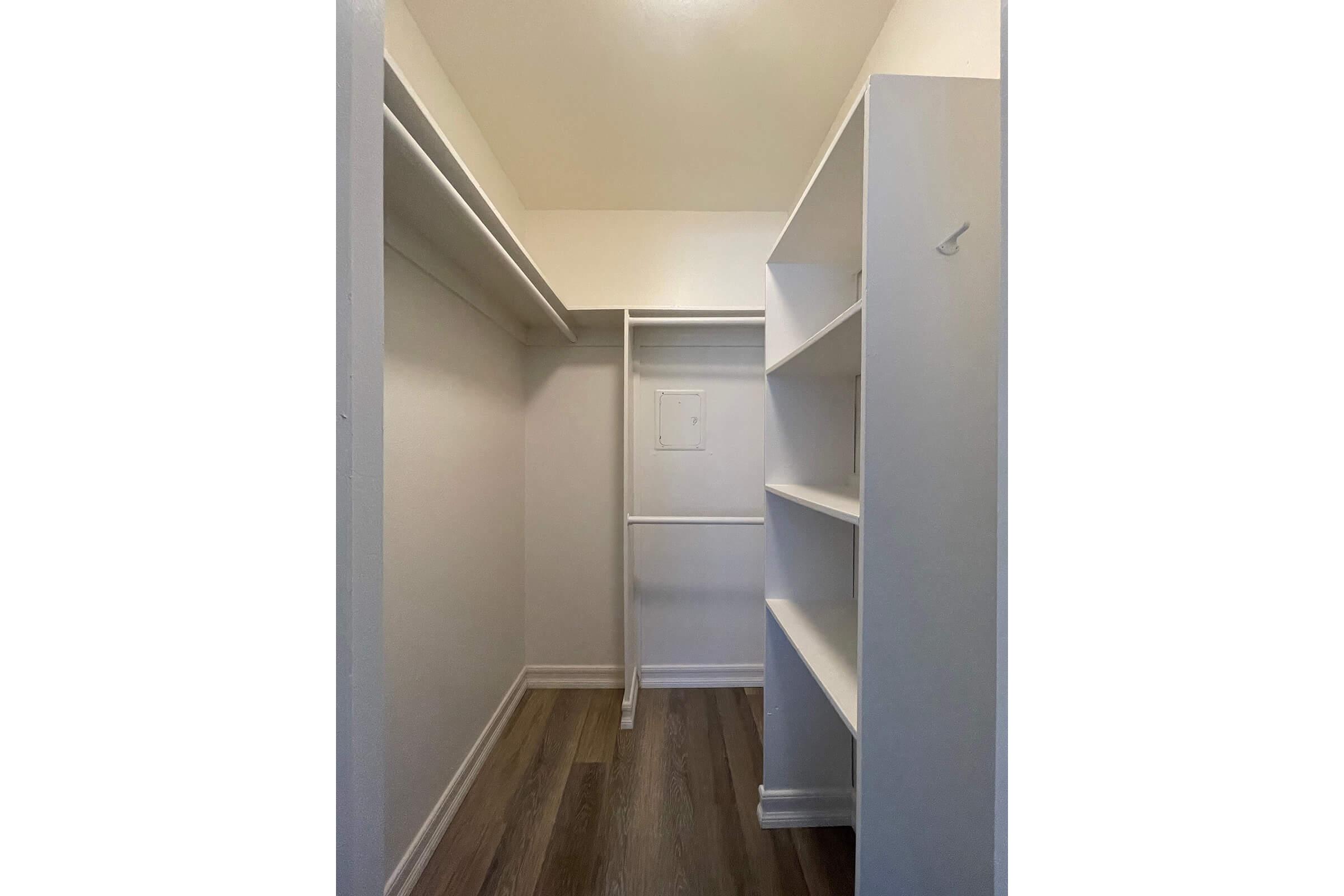 walk-in closet with wooden floors