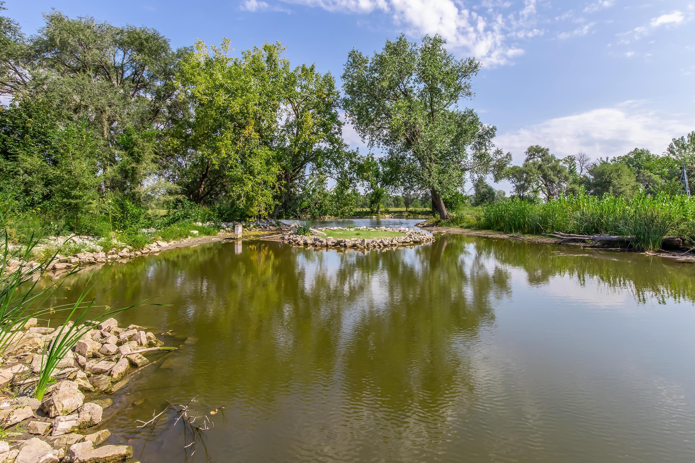 A serene landscape featuring a calm pond surrounded by lush greenery, including tall grasses and trees. The water reflects the blue sky and clouds, adding to the tranquil scene. There is a circular arrangement of stones in the pond, enhancing the natural beauty of the environment.