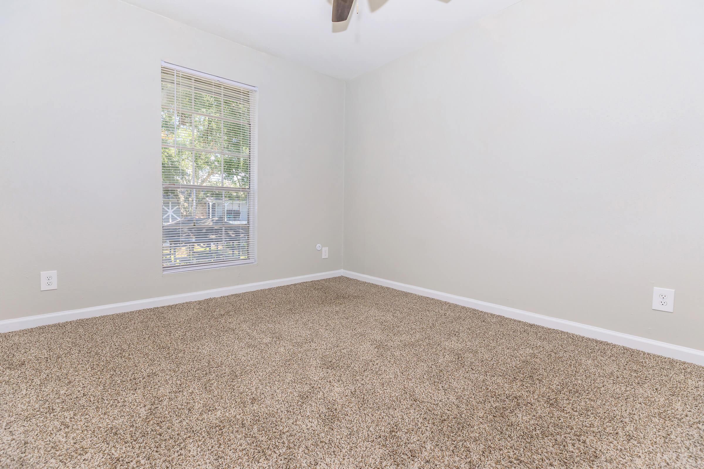A vacant room with light gray walls and brown carpet. There's a window with blinds allowing natural light to enter, but no furniture or decorations are present, creating a spacious and minimalistic atmosphere. The room is well-lit and clean, suitable for various uses.