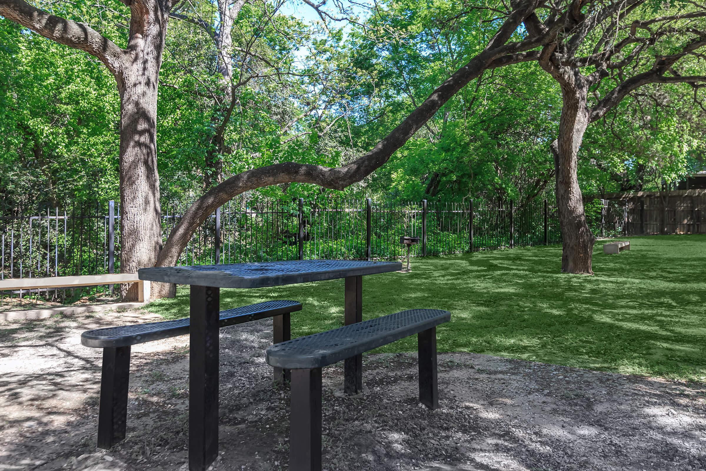 an empty park bench next to a tree