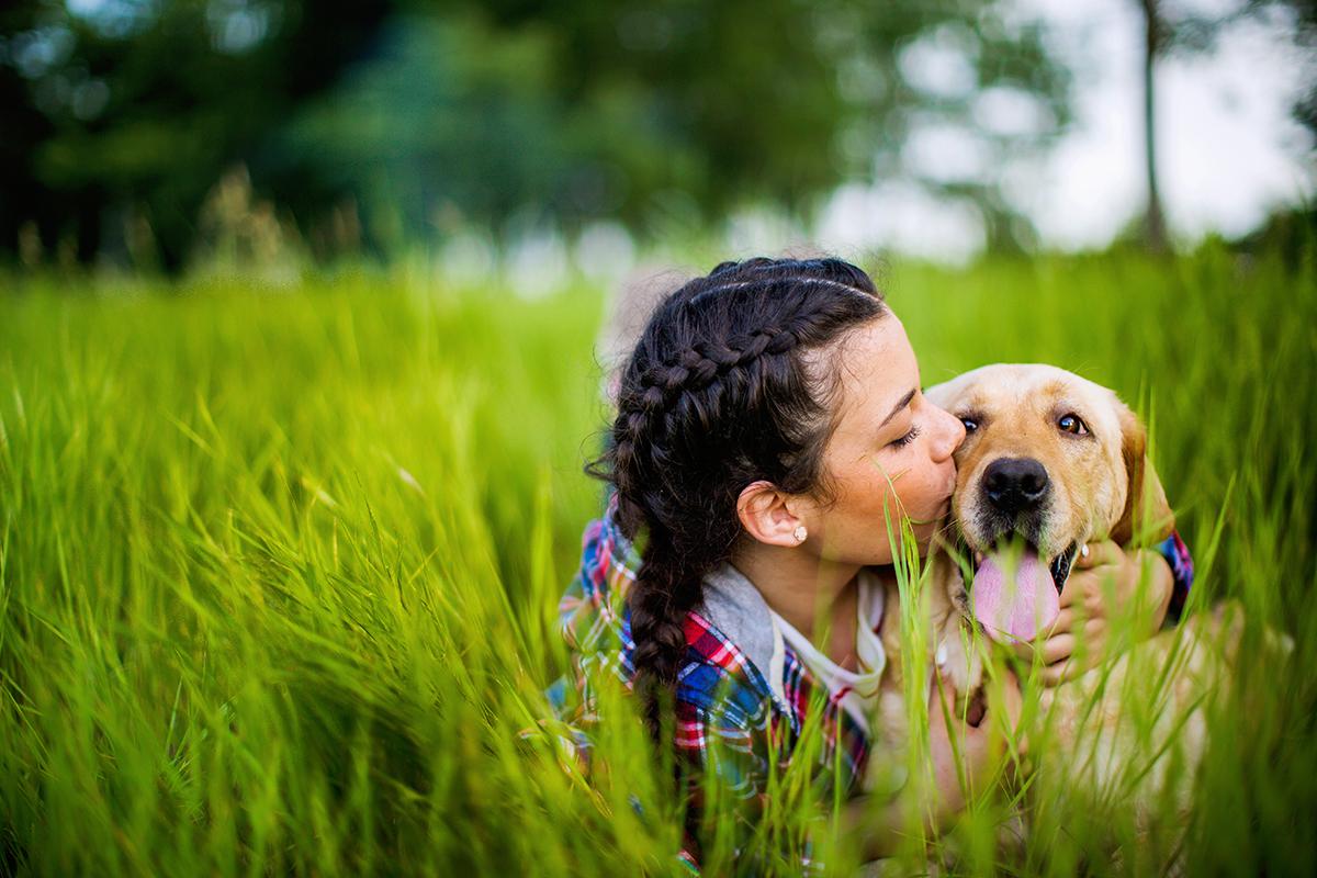 a dog that is standing in the grass