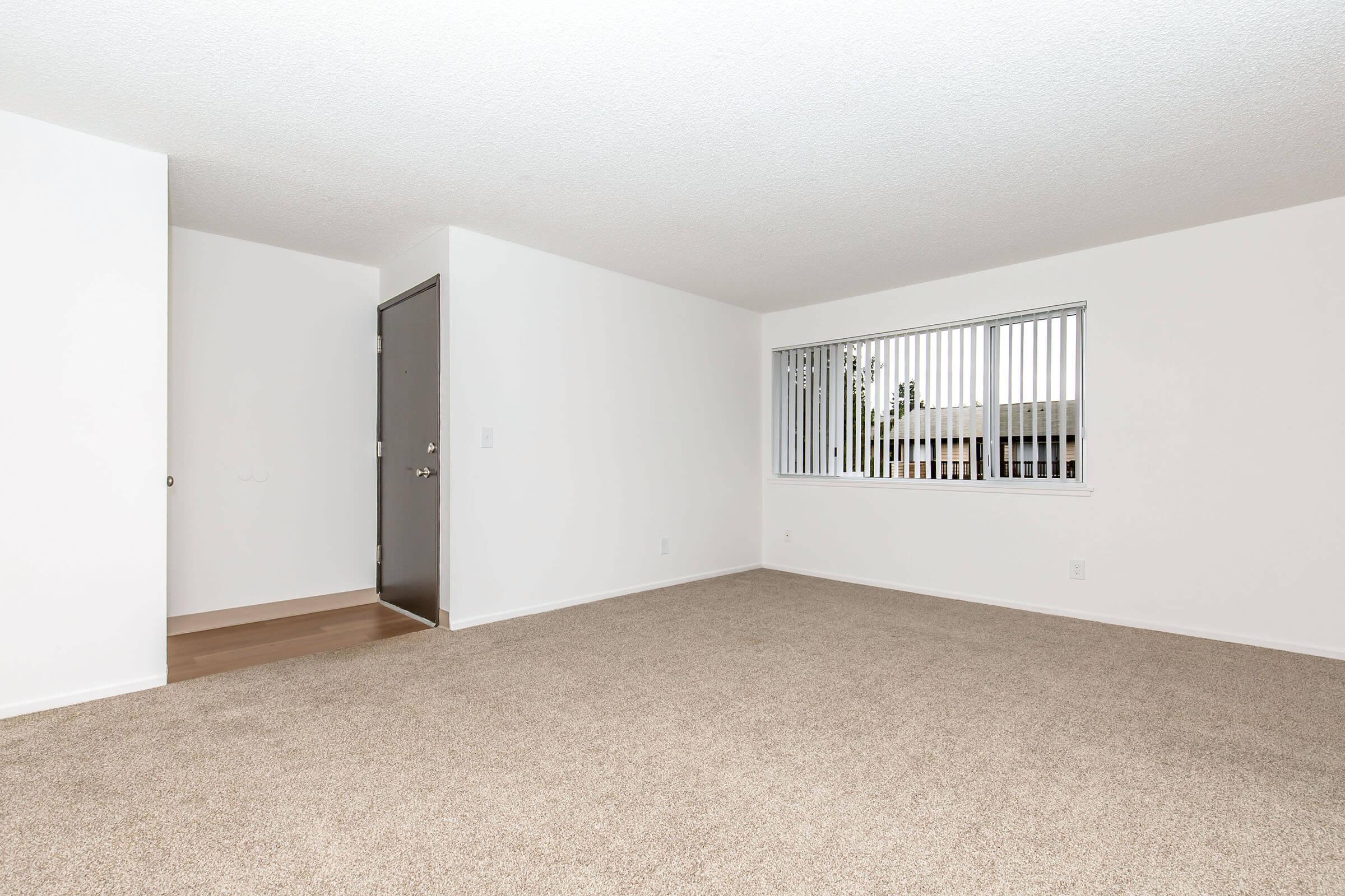 An empty living room with light beige carpet, white walls, and a large window with vertical blinds. There is a door on the left leading to another room, and the space is bright and airy, providing a blank canvas for decorating.