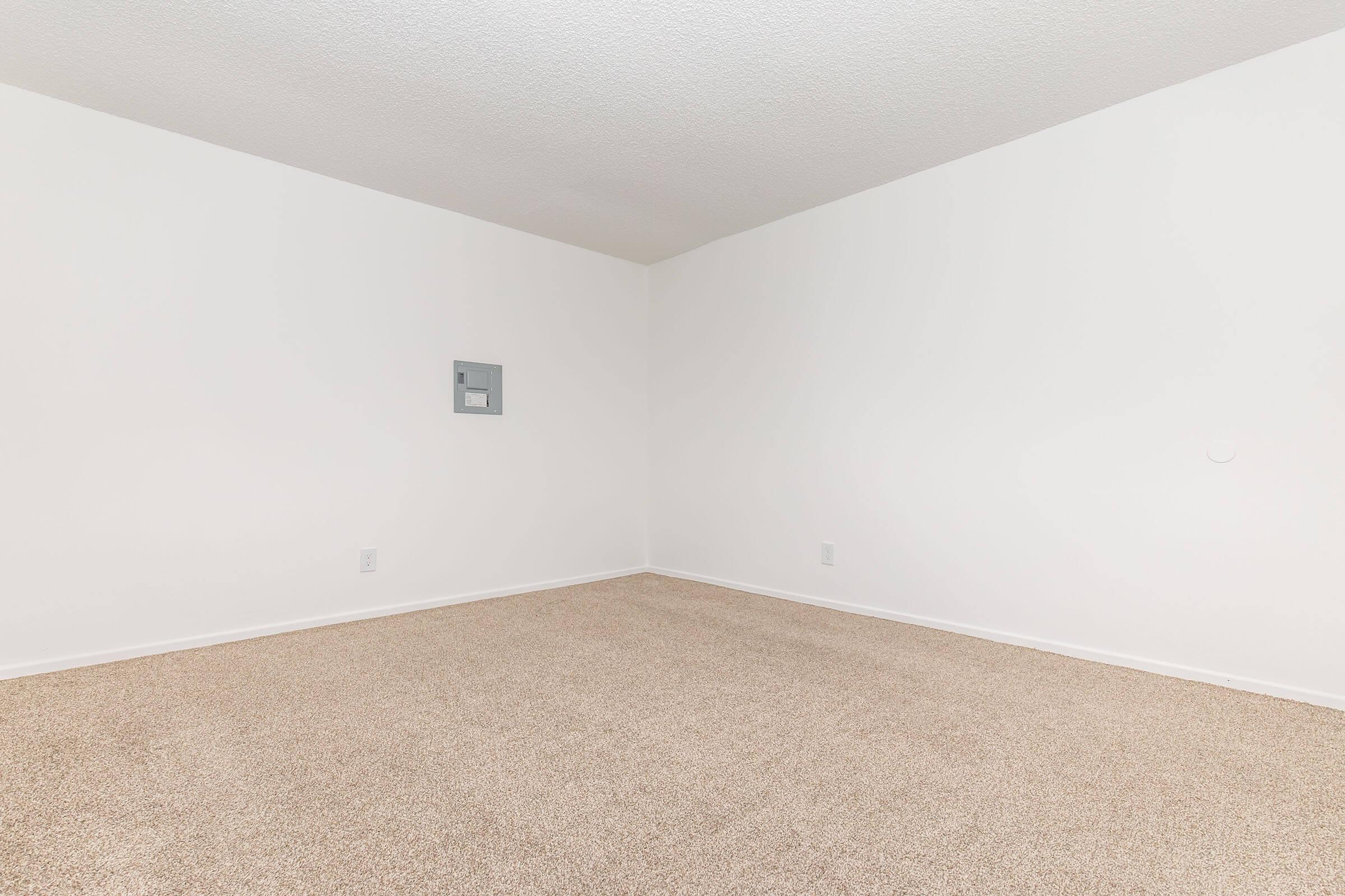 Empty room with light beige carpet and plain white walls. One wall features a small electrical panel. The space is brightly lit and has no furniture or decor.