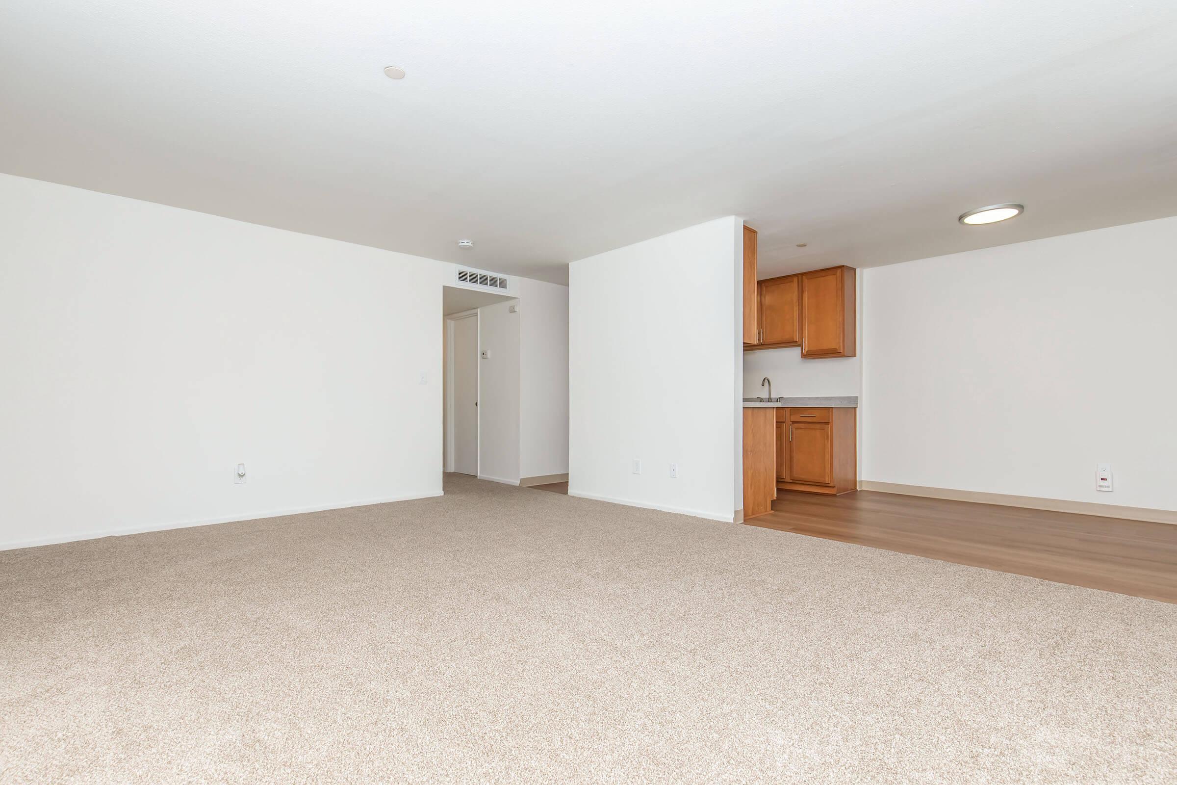 A spacious, empty room with light-colored walls and soft, beige carpeting. A kitchen area is visible in the background, featuring wooden cabinets and a countertop. There is a door leading to another room, and a circular ceiling light illuminates the space. The overall atmosphere is bright and open.