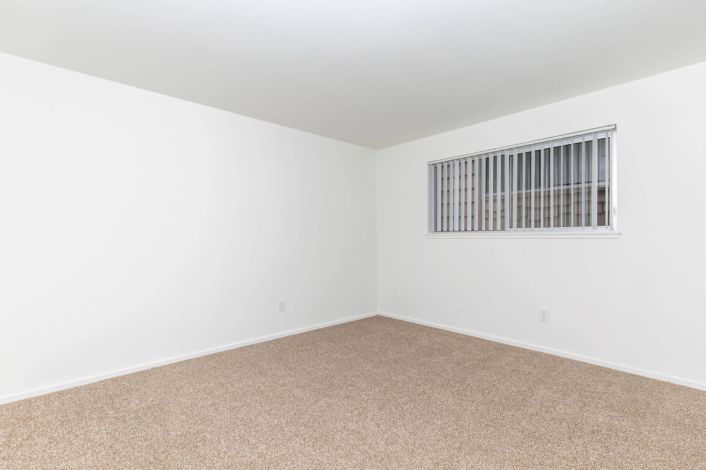 Empty room with light beige carpet and plain white walls. A window with vertical blinds is on one side, letting in natural light. The space is uncluttered and minimalistic, giving a sense of openness.