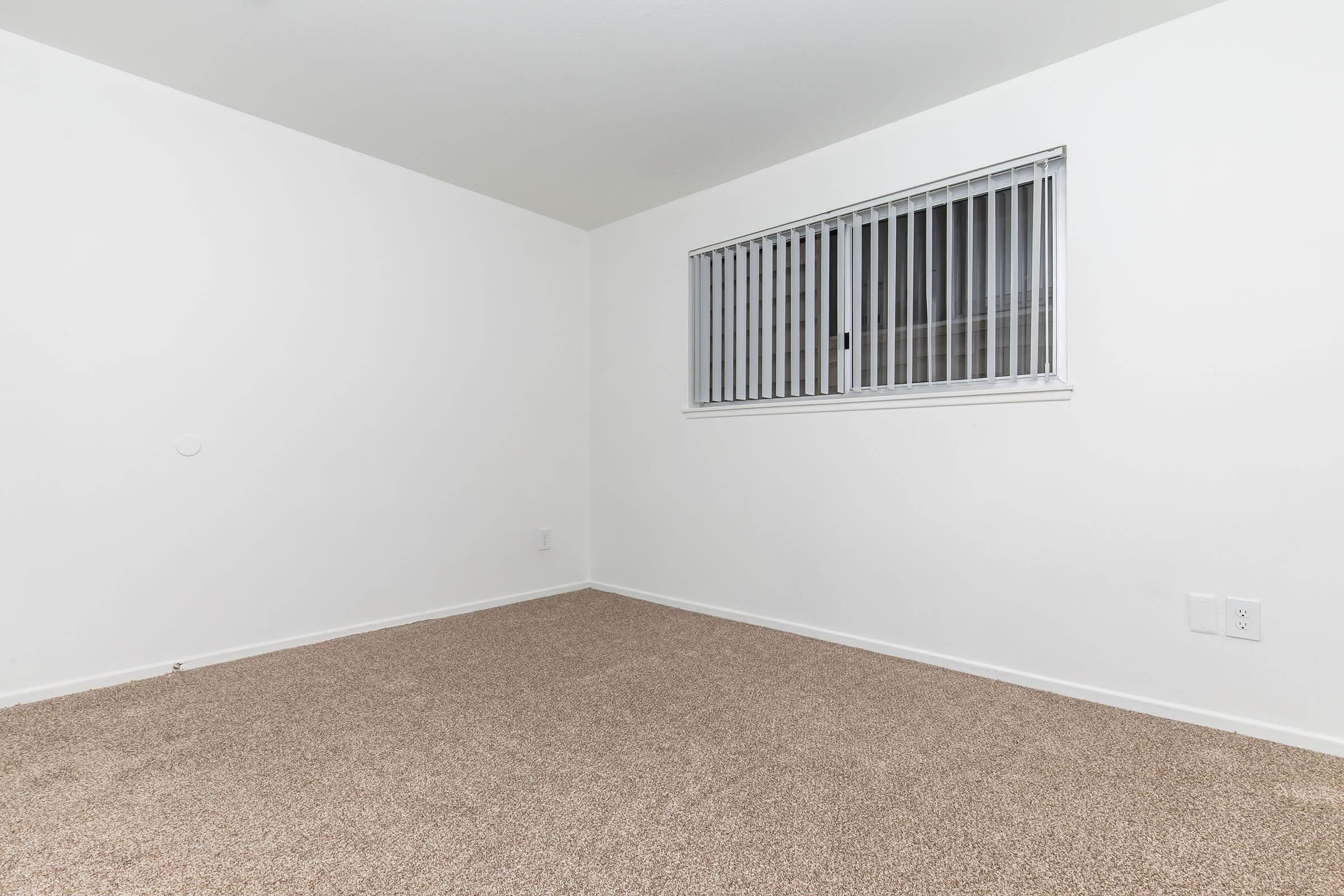 Empty room with beige carpet, white walls, and a single window featuring vertical blinds. The space has no furniture or decor, giving it a minimalistic appearance.