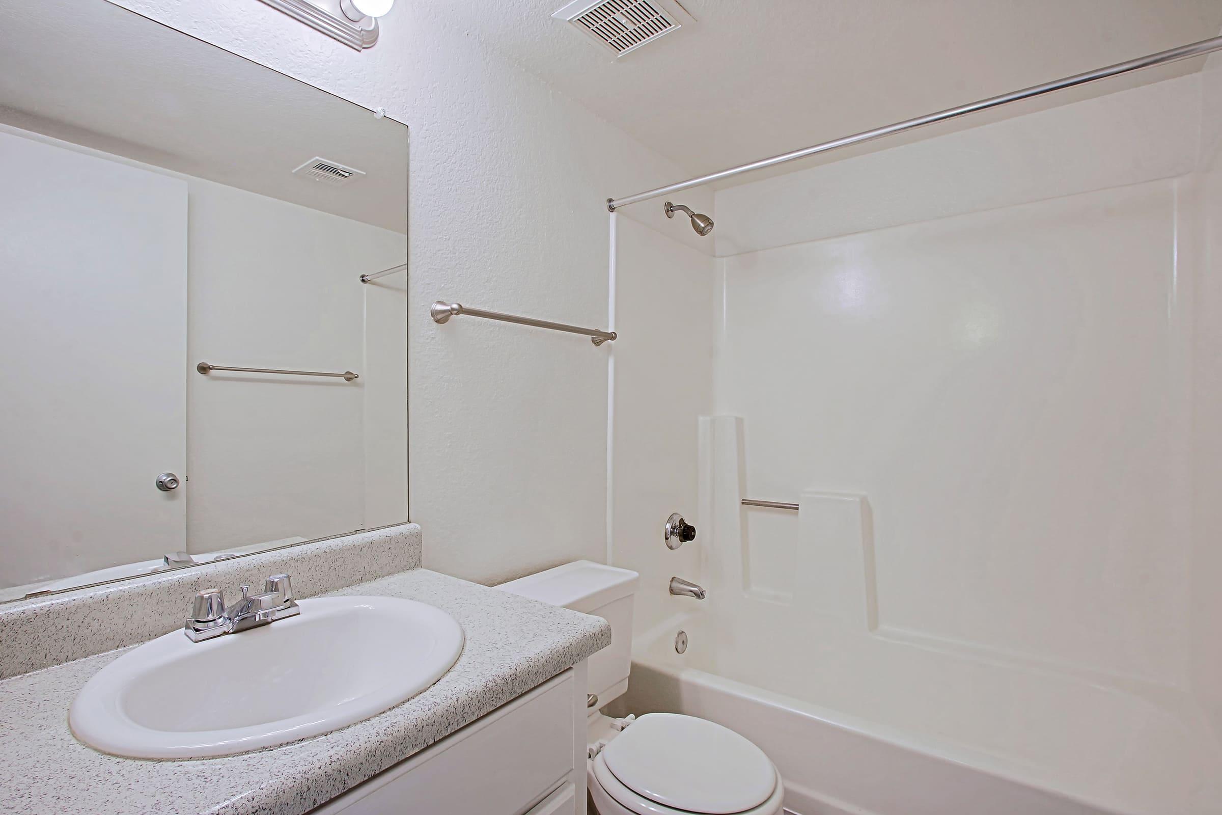 a shower that has a sink and a mirror