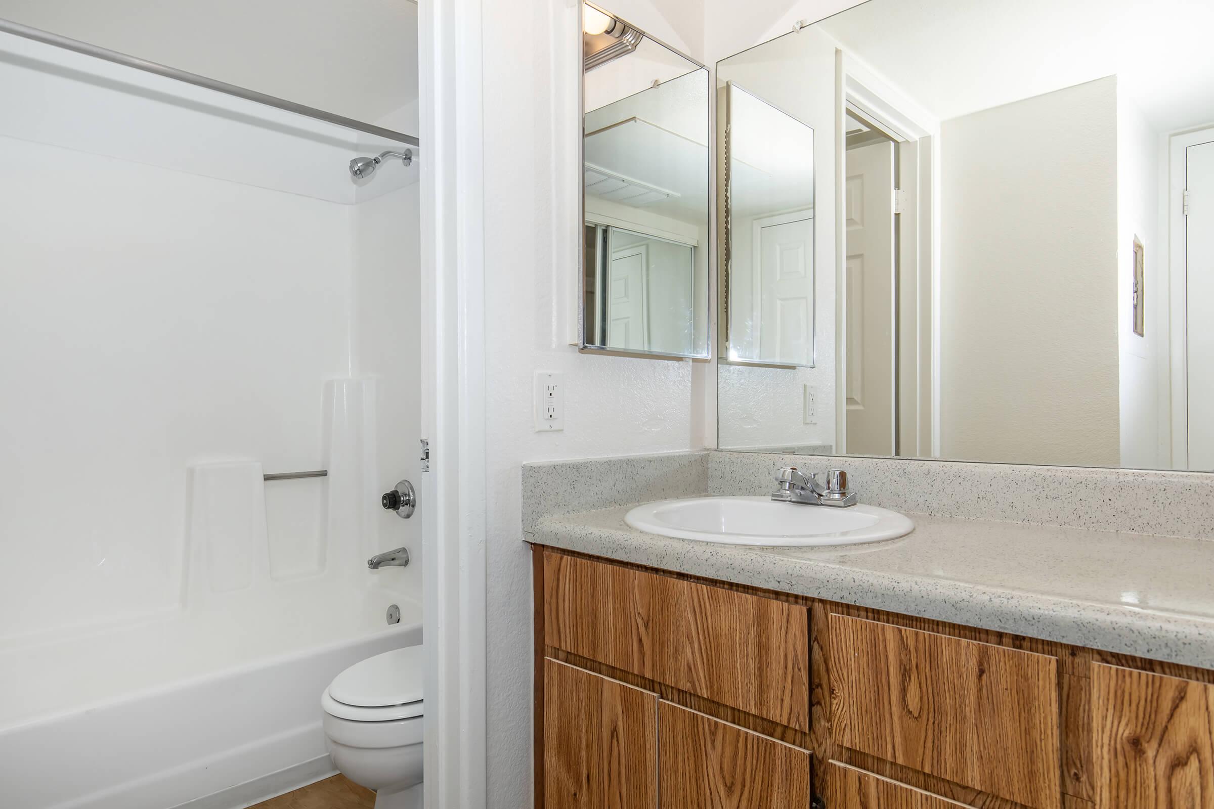 a shower that has a sink and a mirror