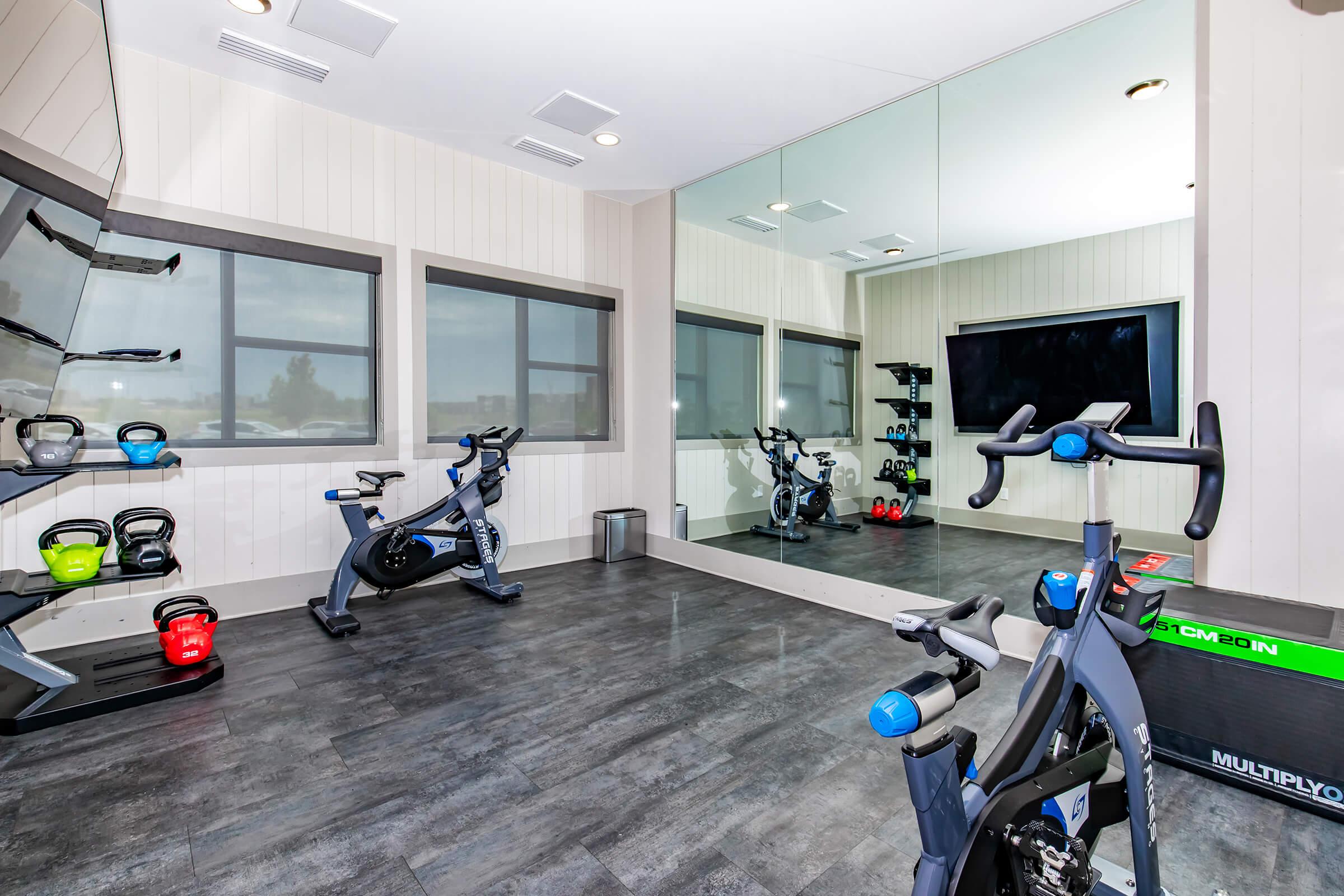A modern home gym featuring exercise equipment. A stationary bike is positioned in front of a large mirror, with kettlebells and dumbbells on the wall-mounted rack. The room has large windows providing natural light, and a television mounted on the wall for workout guidance or entertainment.