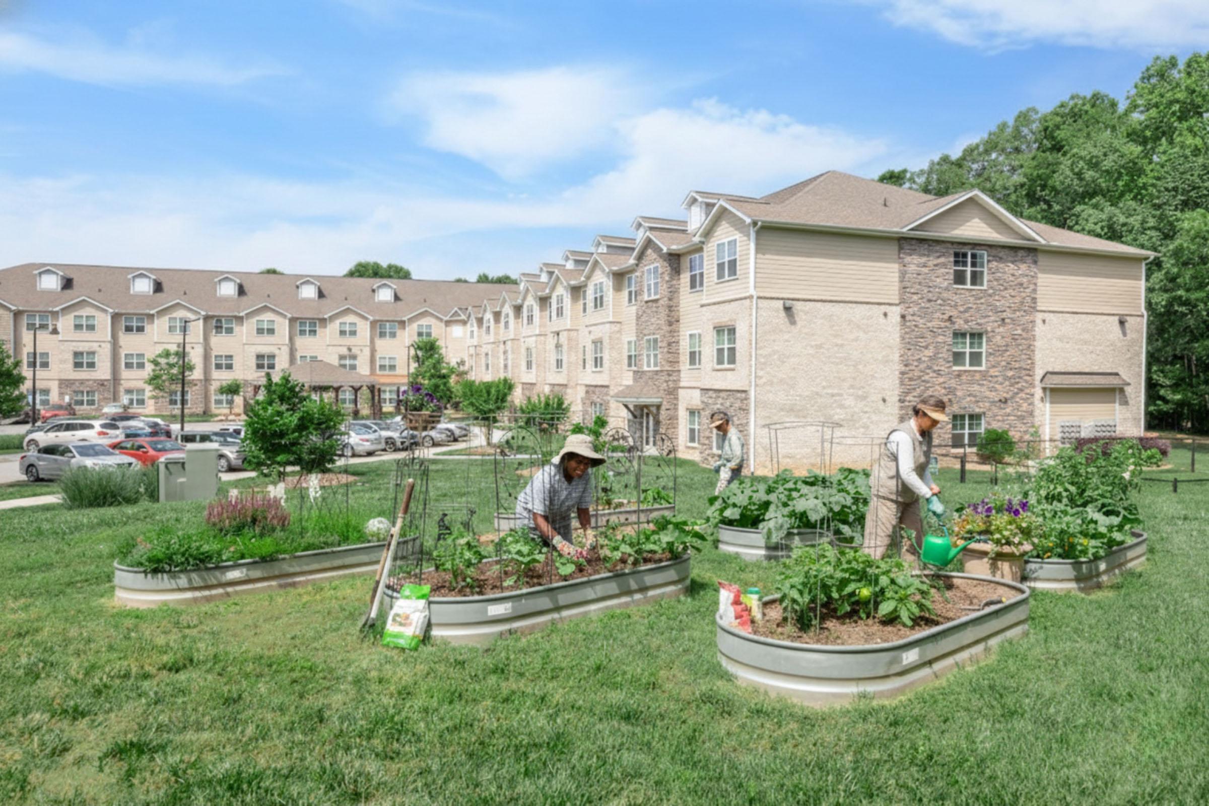 A community garden featuring multiple raised beds with various plants. Three individuals work in the garden, tending to the crops. In the background, a multi-story residential building is visible, along with parked cars and green lawns under a clear blue sky.