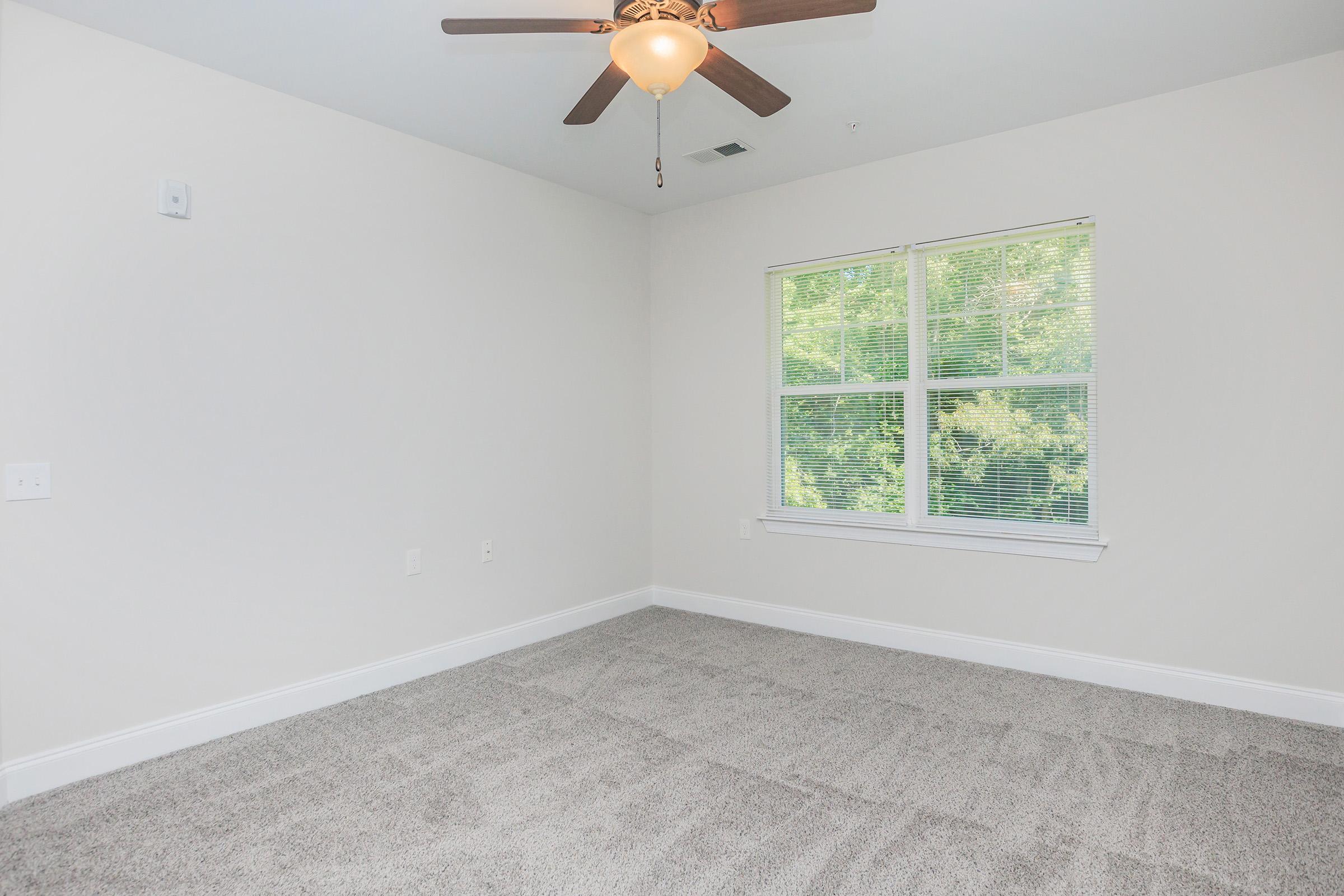 A bright, empty room with light gray carpet and white walls. A ceiling fan with wooden blades hangs from the ceiling. There is a window with blinds, allowing natural light to illuminate the space, and greenery is visible outside. The room is unfurnished, creating a spacious and open atmosphere.